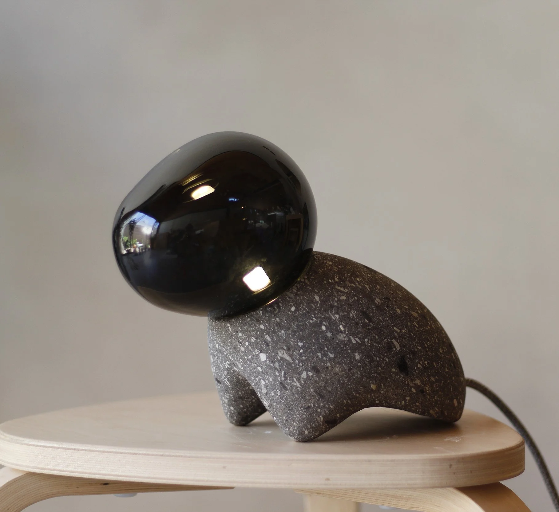 Dogo negro luz web.jpg