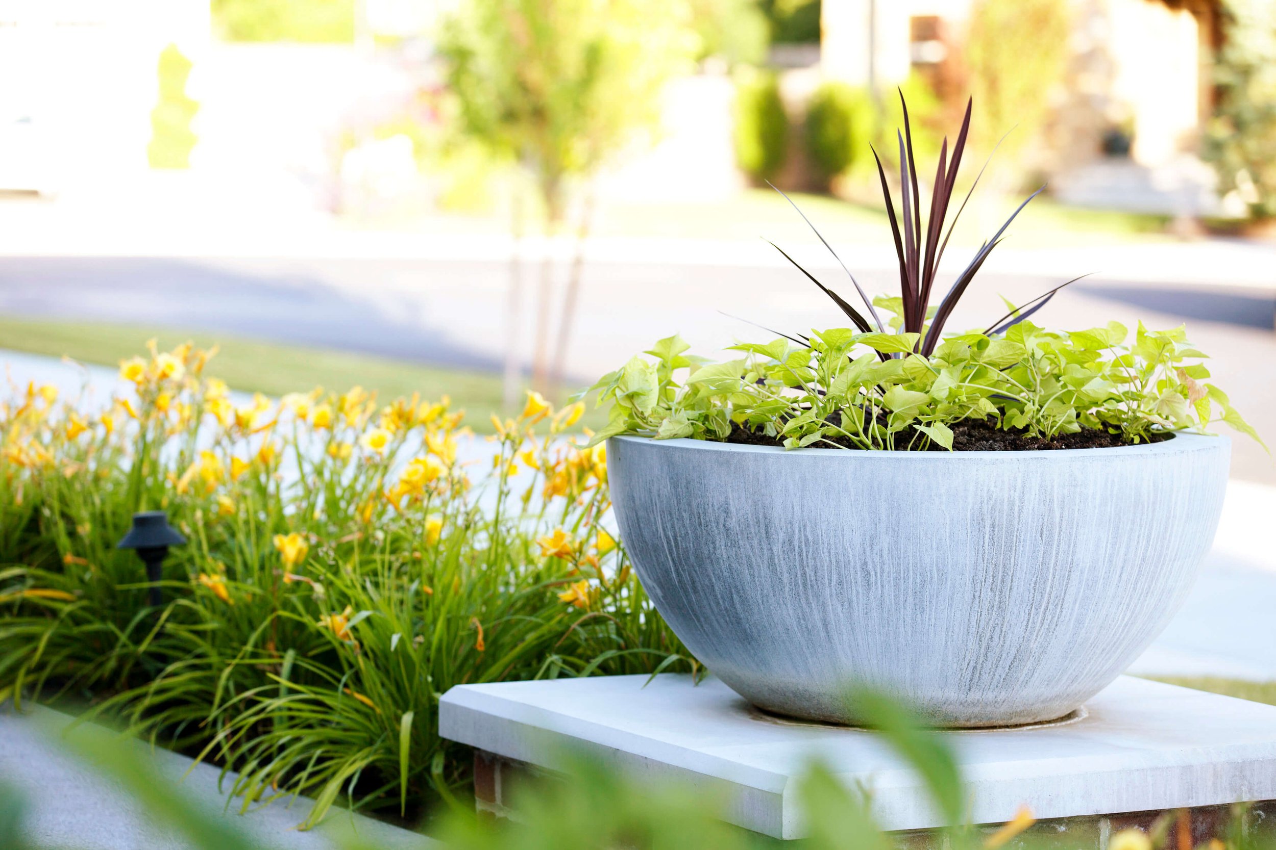 Sunset Planter Bowl.jpg