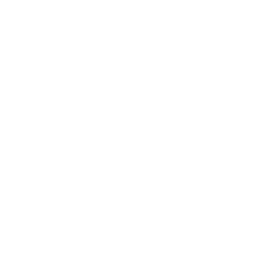 Shamanistik Records