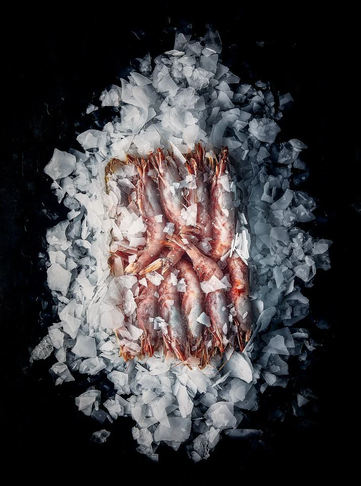 Kırık buz üzerinde taze karides sunumu.

