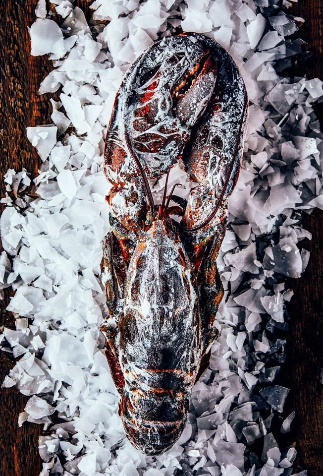 Buz yatağı üzerinde dondurulmuş ıstakozun üstten görünümü.

