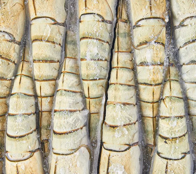 Buz kristalleriyle kaplanmış, sıra halinde dizilmiş dondurulmuş karides kuyruklarının yakın çekimi.

