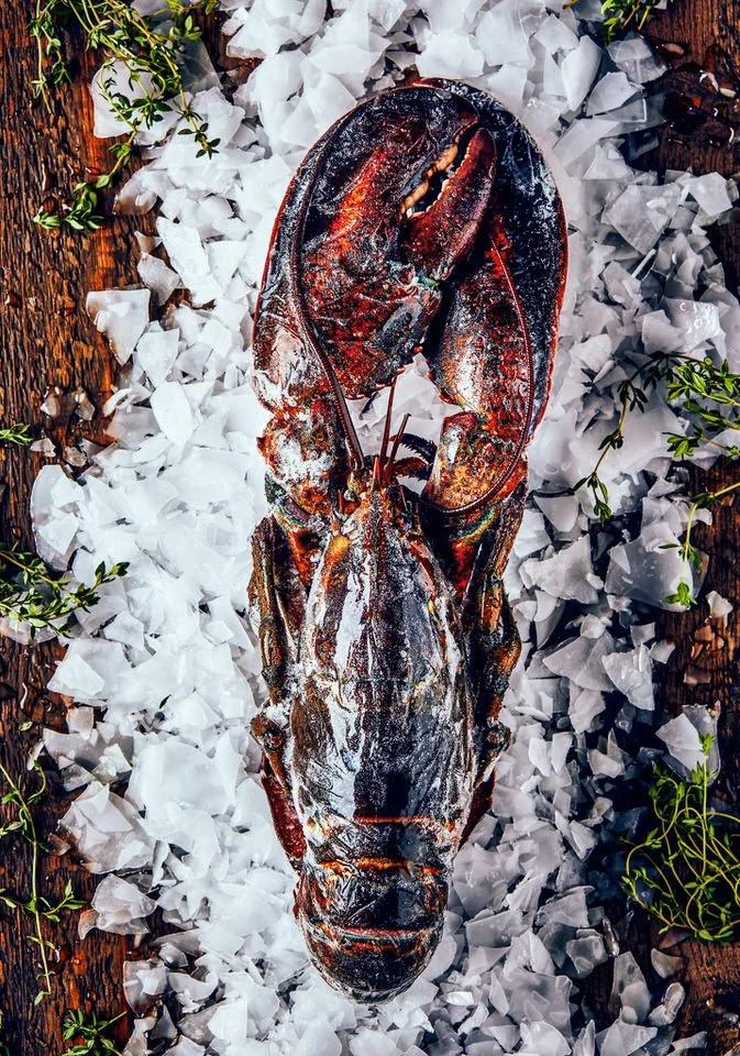 Kırık buz üzerinde yeşil otlarla süslenmiş, ahşap yüzeye yerleştirilmiş çiğ bütün ıstakoz.

