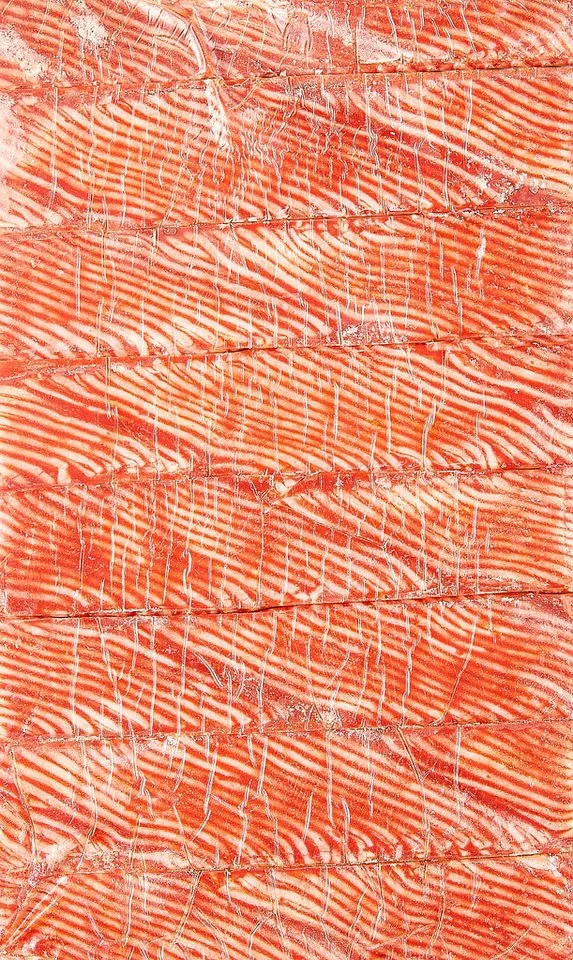 Mermer dokulu çiğ somon filetosunun yakın çekimi.

