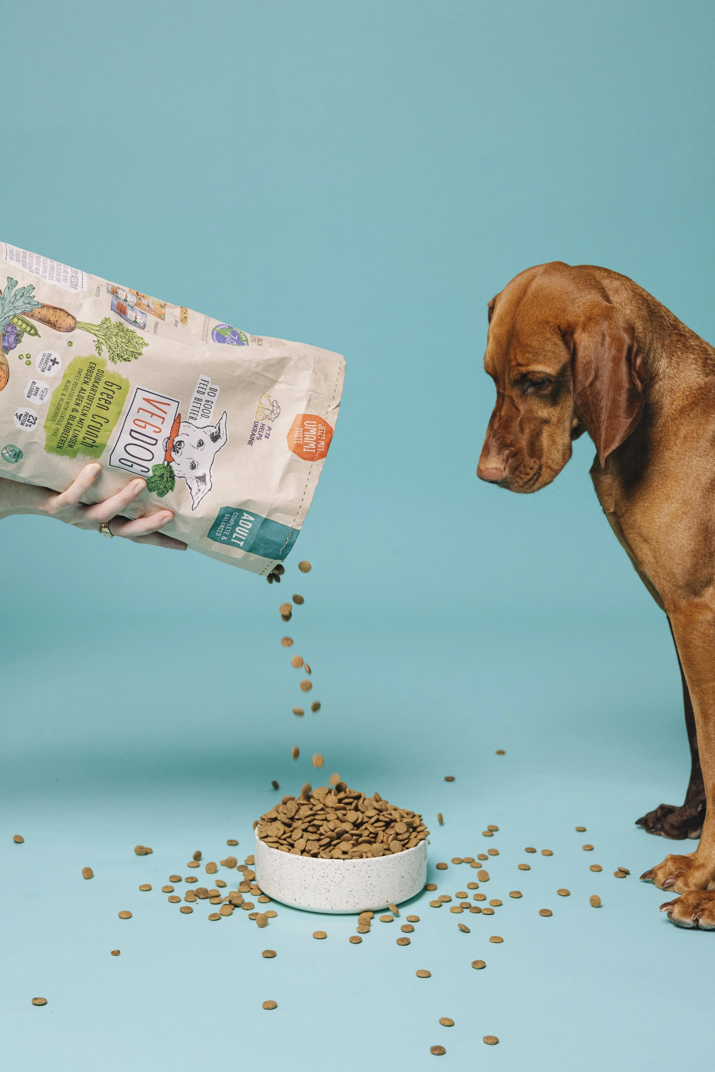 250220-VegDog-Dogs-61.jpg