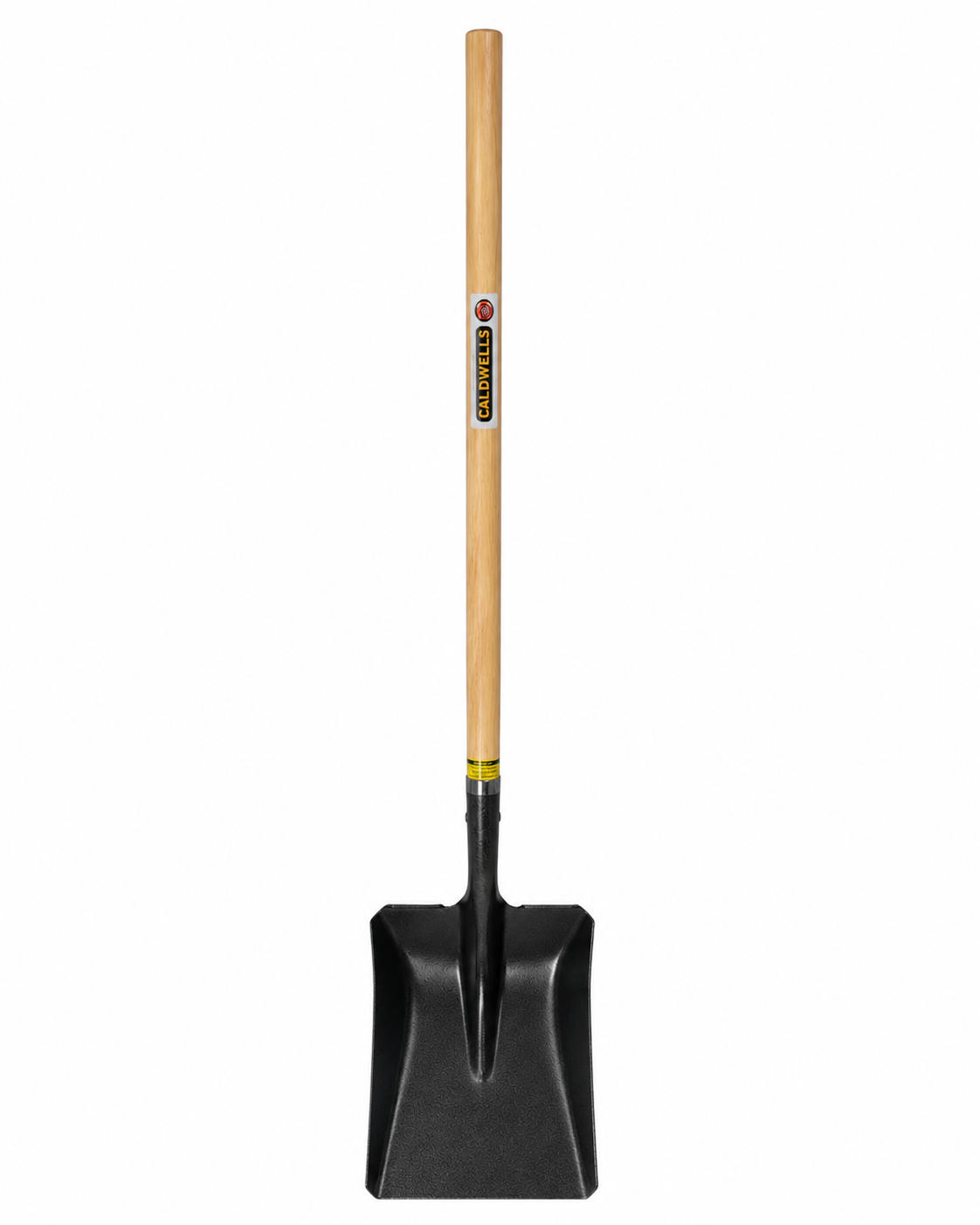 image2 (8).png
