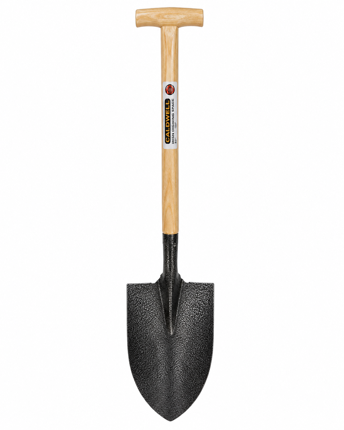 image1 (13).png
