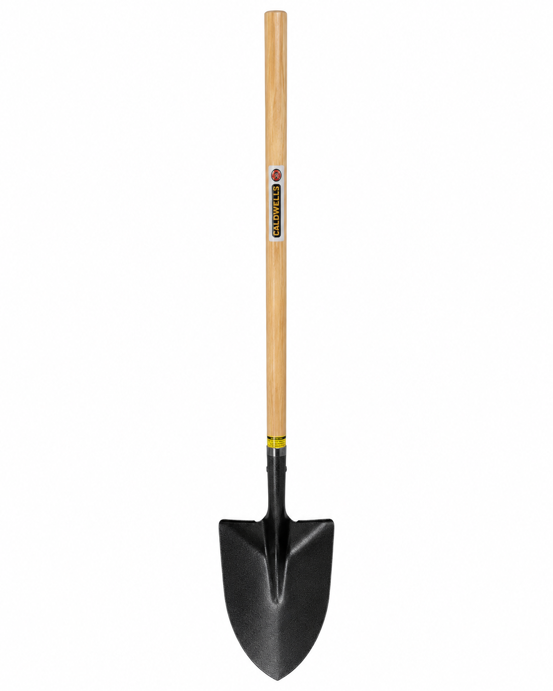 image3 (4).png