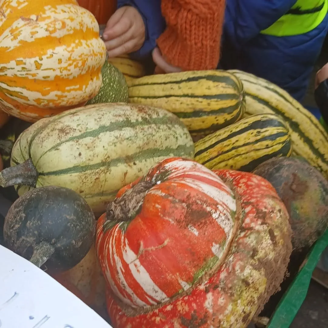 Our Pre-school and Toddler children took a walk down to Gloucester Road to our local fruit and Veg shop to buy some pumpkins, we then brought them back to nursery help cut them up and turned them into delicious Pumpkin Soup 🍲 😋 😀  #community #pump