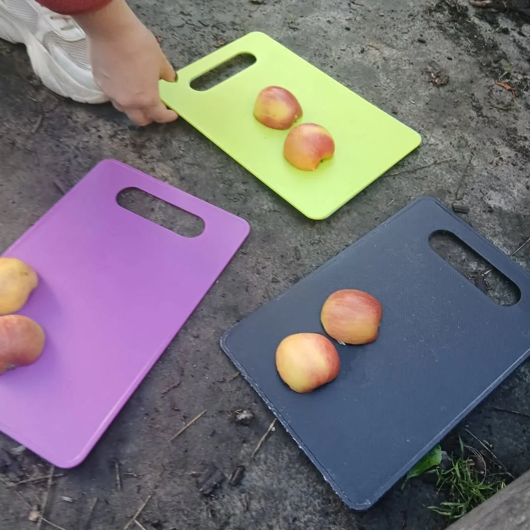 Celebrating National apple 🍎 Day! The children cooked: salted caramelised apple slices 😋 They confidently sliced, mixed,poured, and tasted this toasty dish... #camping #childrensintrest #outdoors #outdoorclassroom #apples #tryingnewthings #eyfsinsp