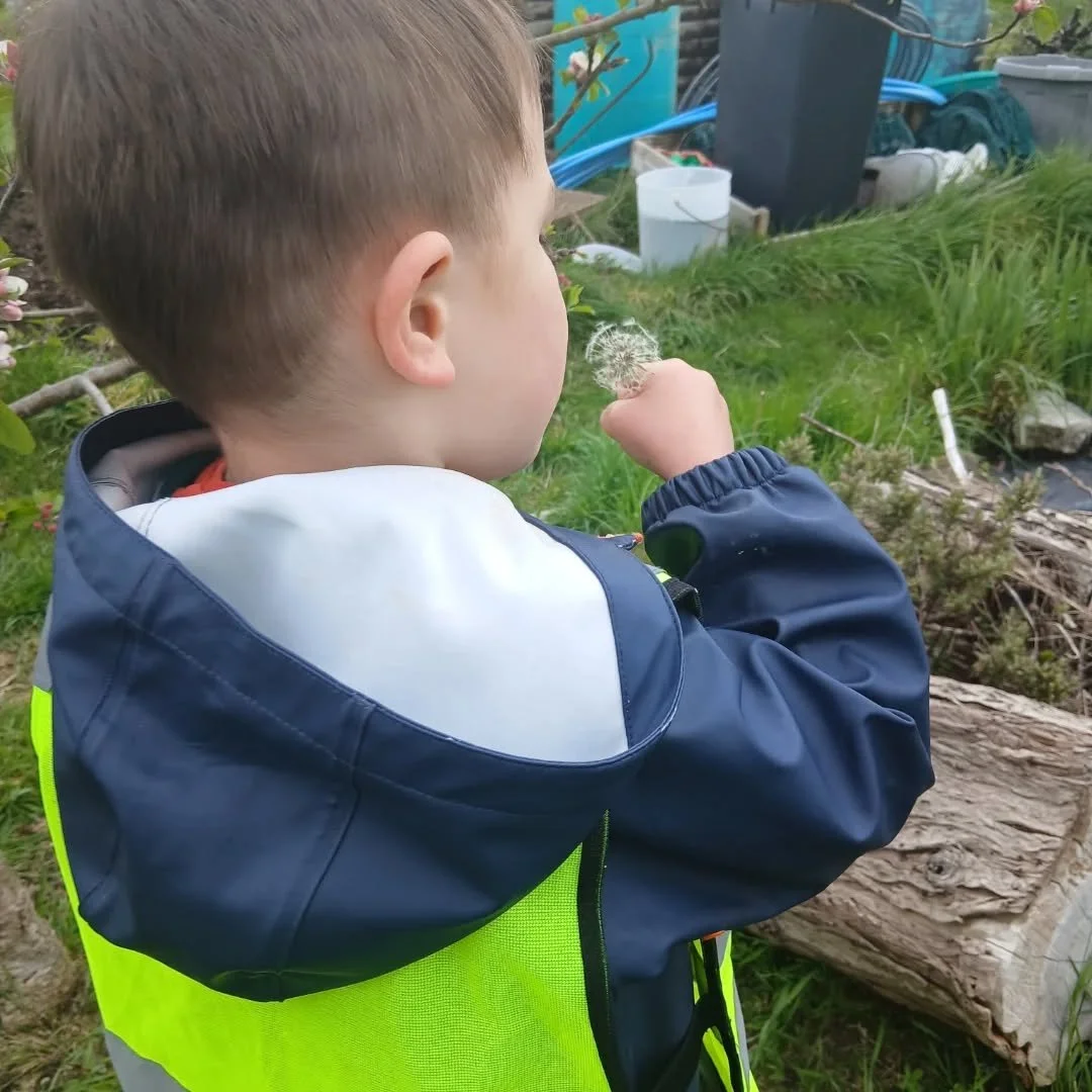 Pre-school and Babies went together to the community gardens, and we went foraging, exploring all the nature around us. #nature #foraging #commuintygarden #outings 💛💚🌿🌾🌱🌼🌸