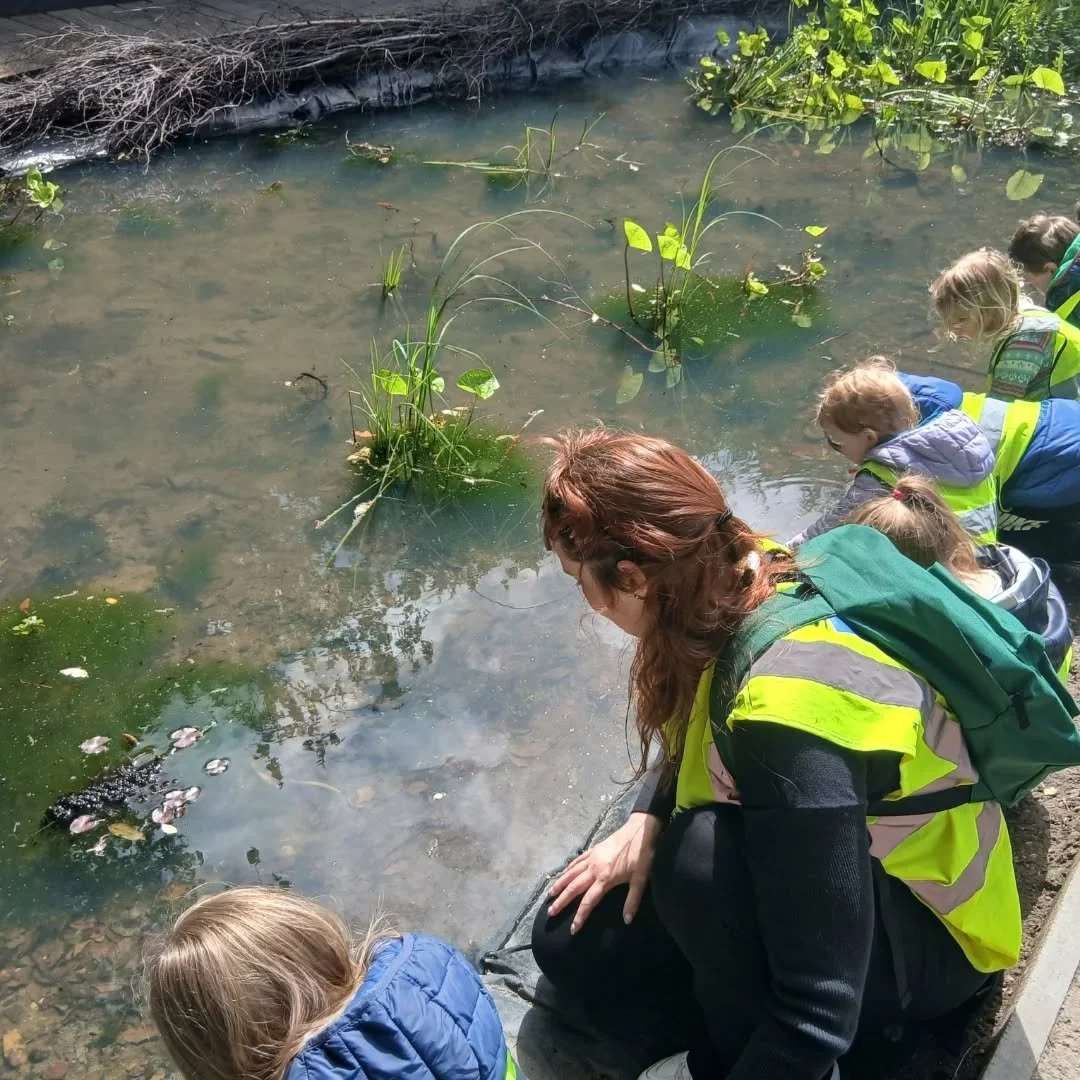 The Discovery Den children had a mini bug adventure this morning! We found lots of baby tadpoles in the pond and searched for frogs 🐸 we also drew pictures of bumble bees 🐝  to celebrate bee day.