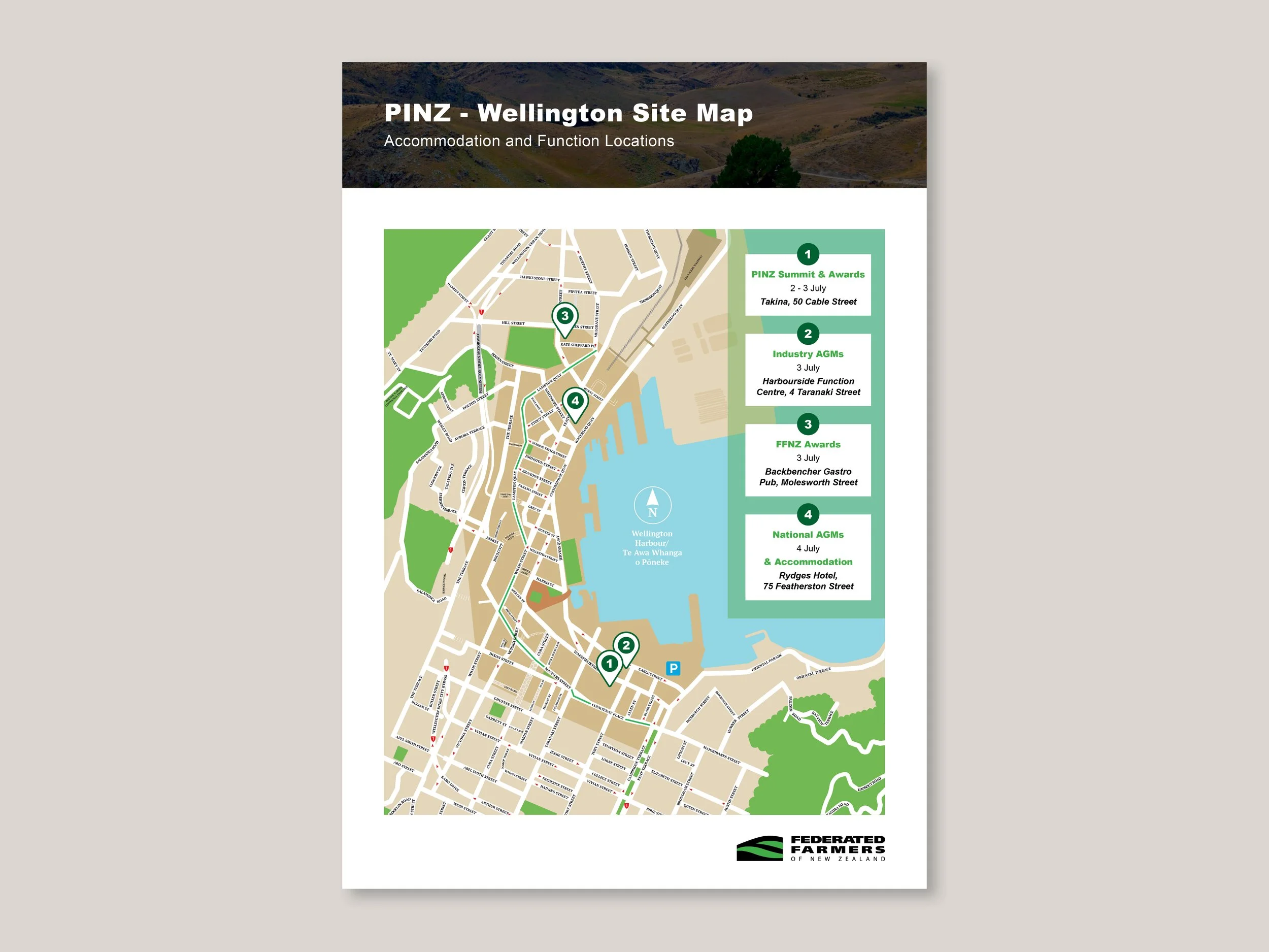 PINZ Flyers2.jpg