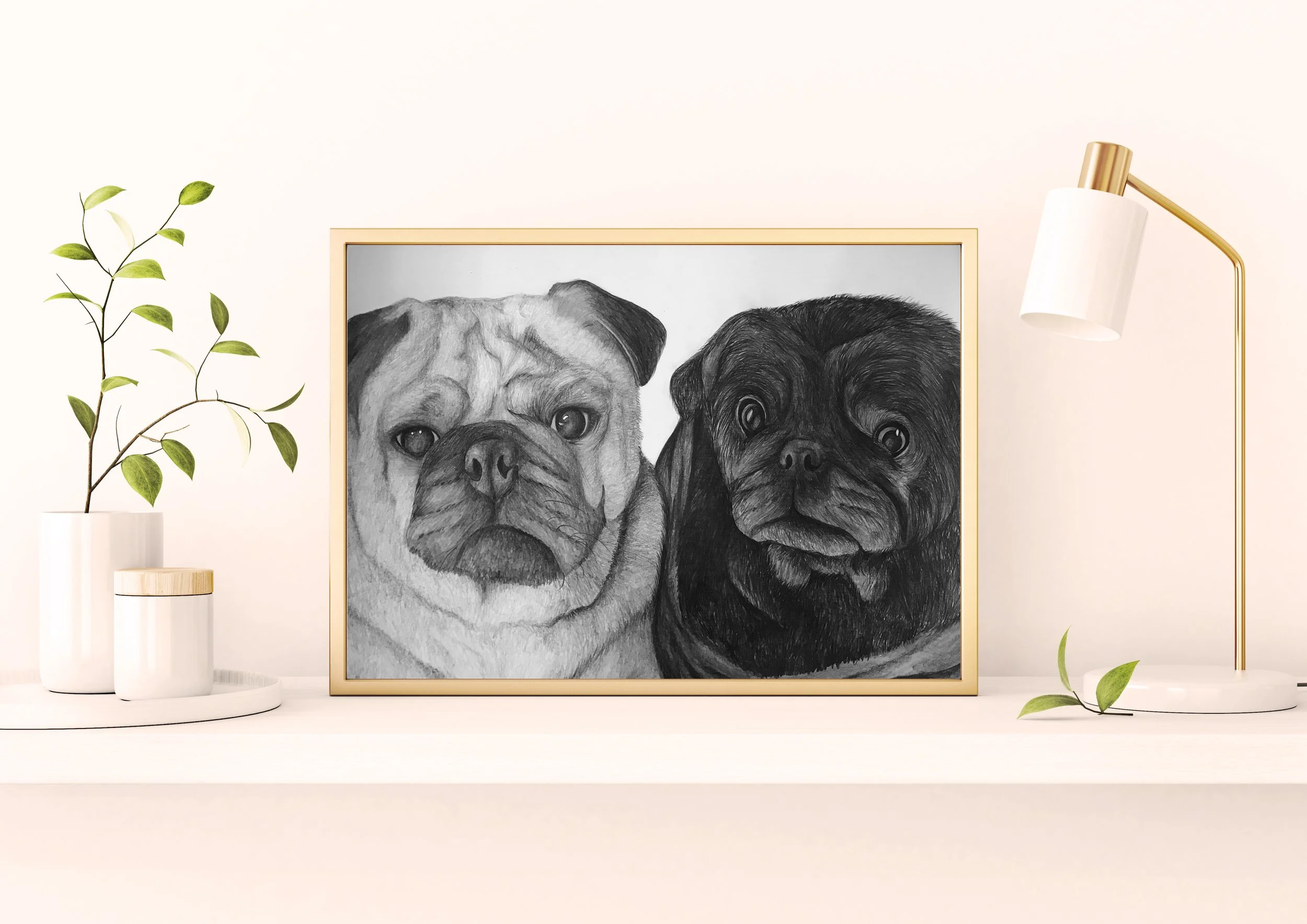 Pugs.jpg