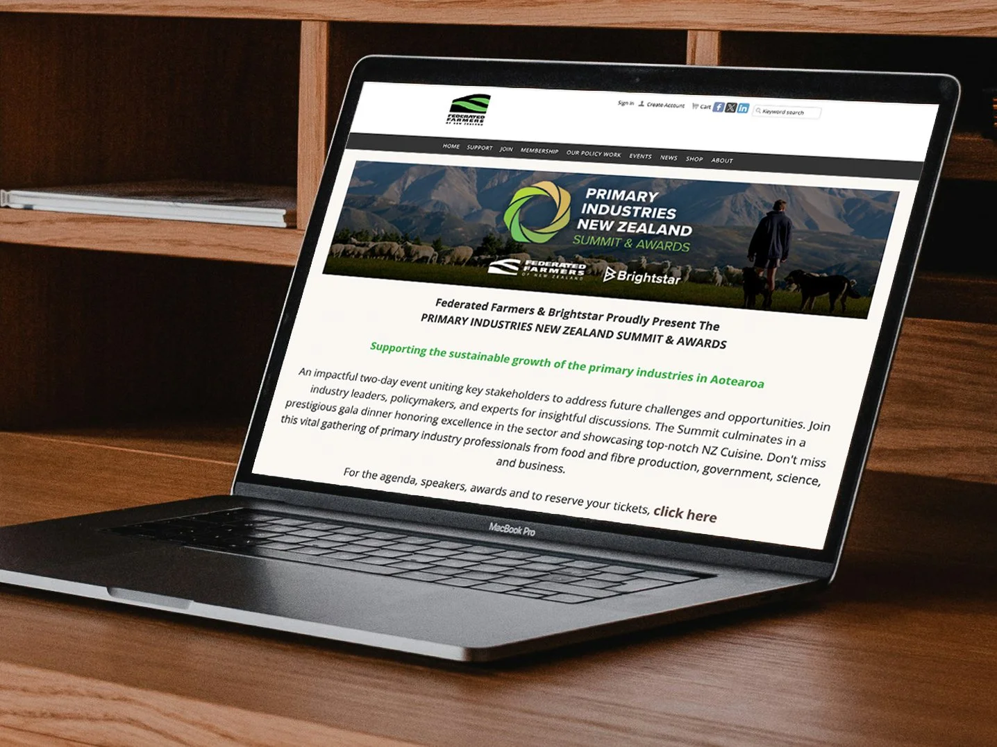 PINZ Website Homepage.jpg