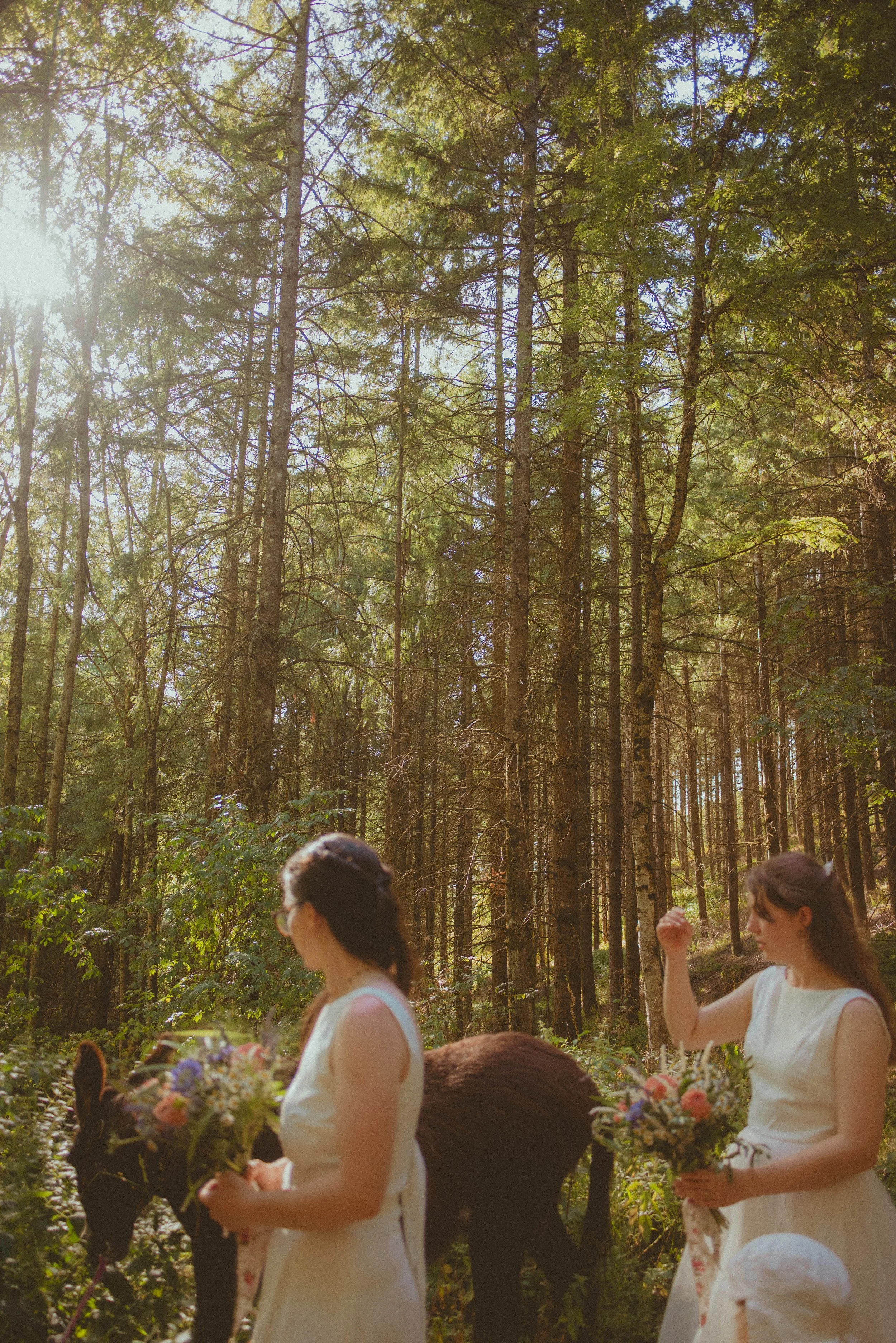 Photographe mariages Lyon et alentours