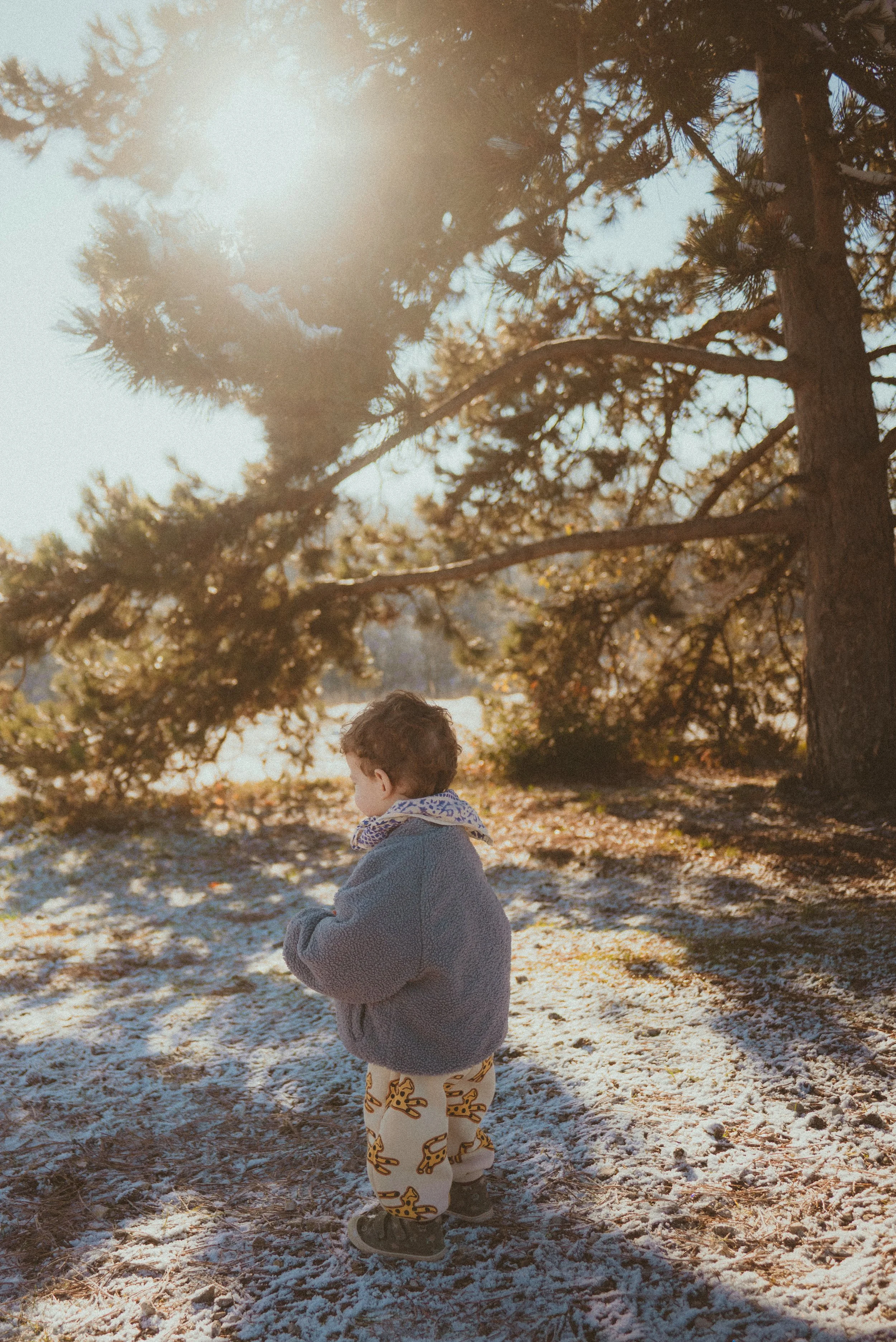 photographe besançon
