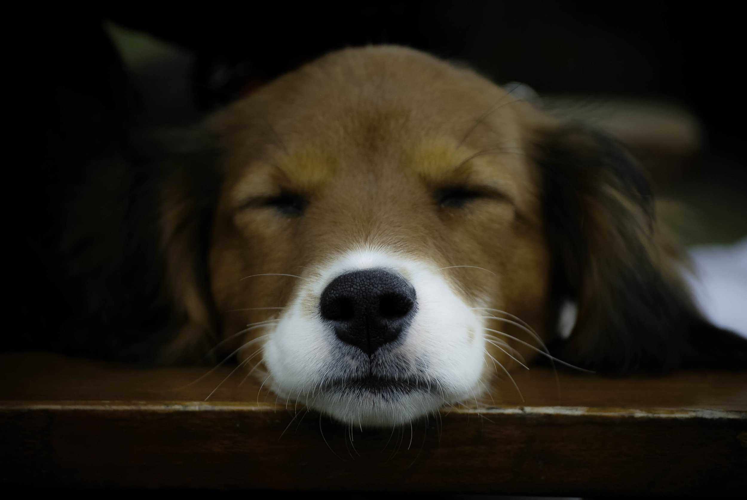 DSC_0438.jpeg
