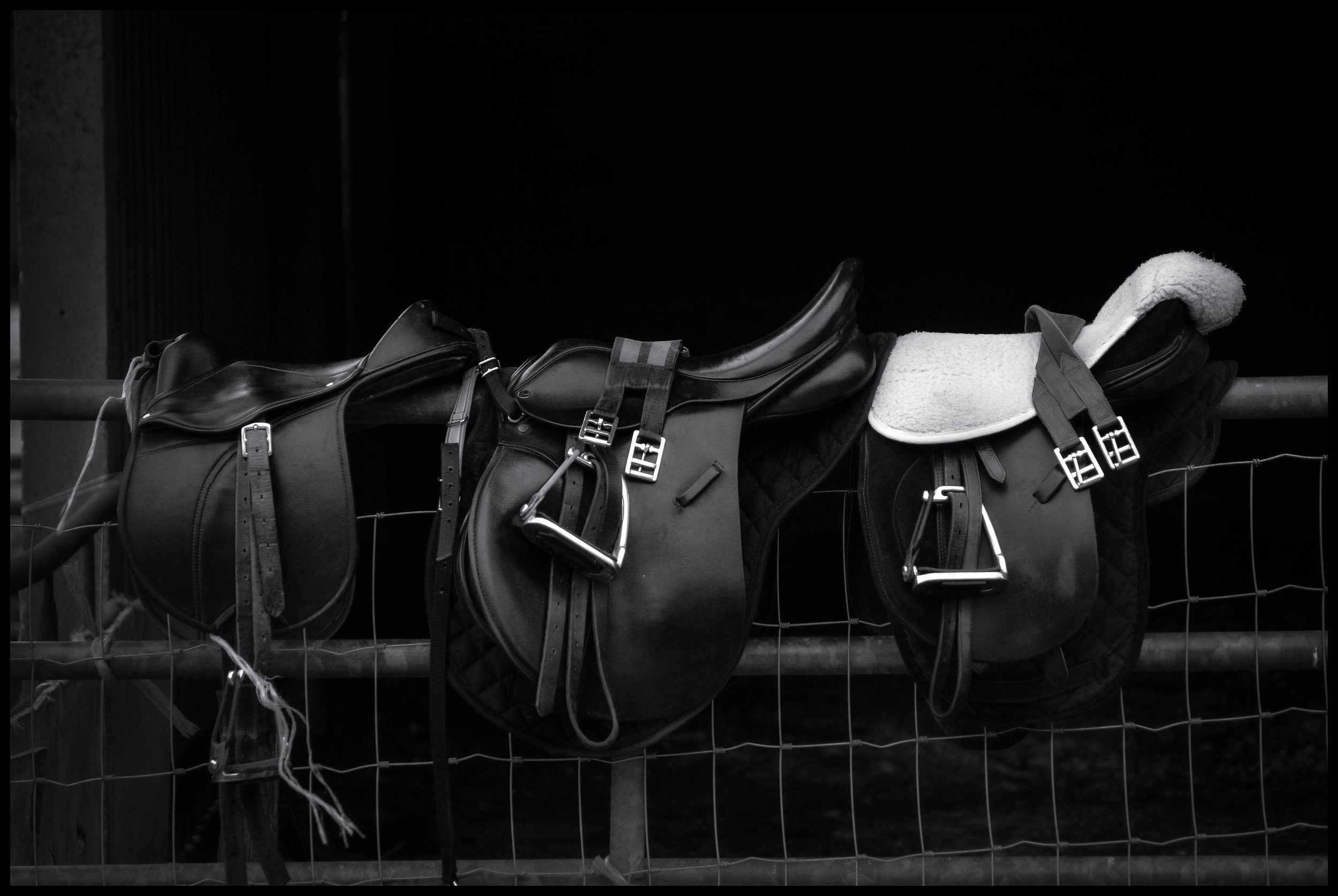 DSC_1034.jpeg