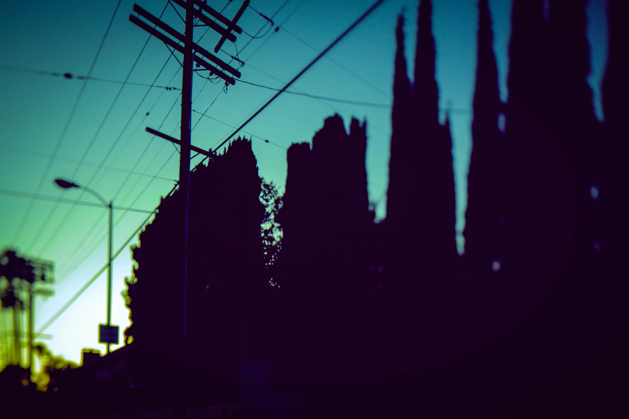 IMG_4058.jpeg
