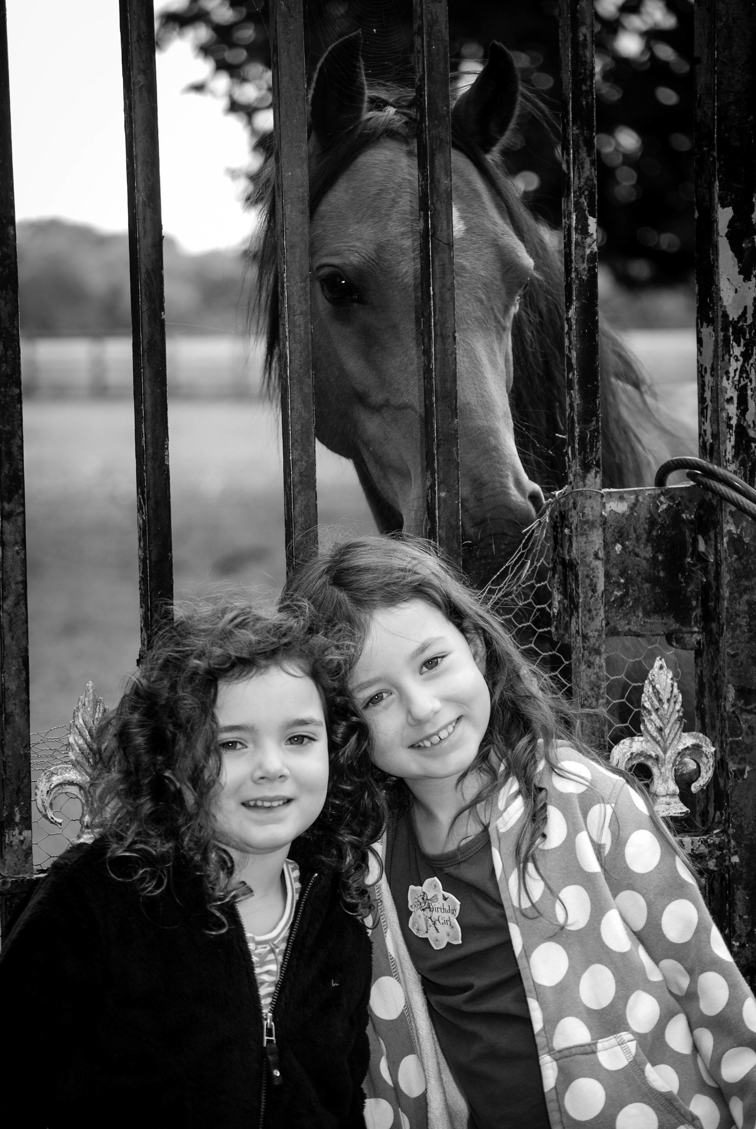 DSC_0368b.jpeg
