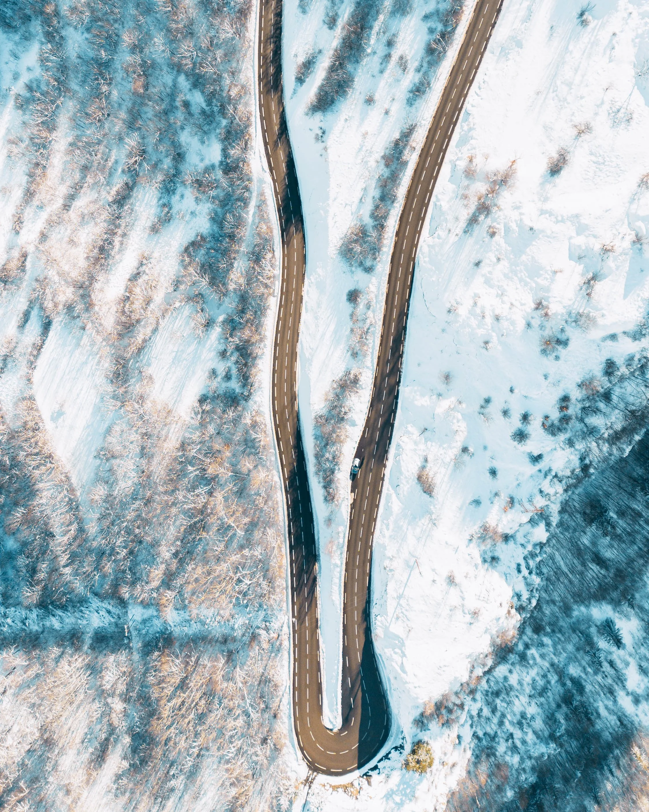 5X4-10.jpg