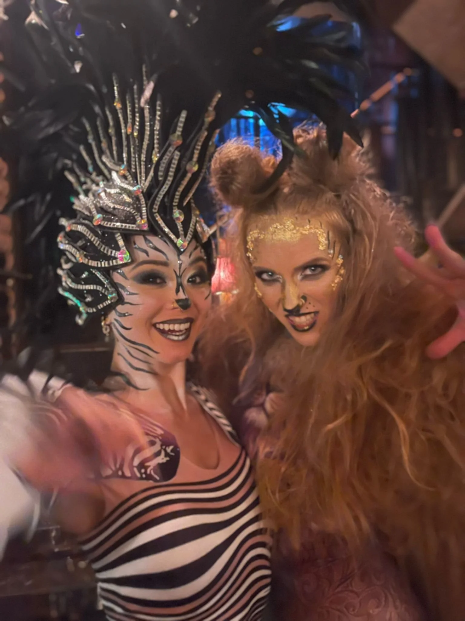 Lion and zebra entertainment Brisbane