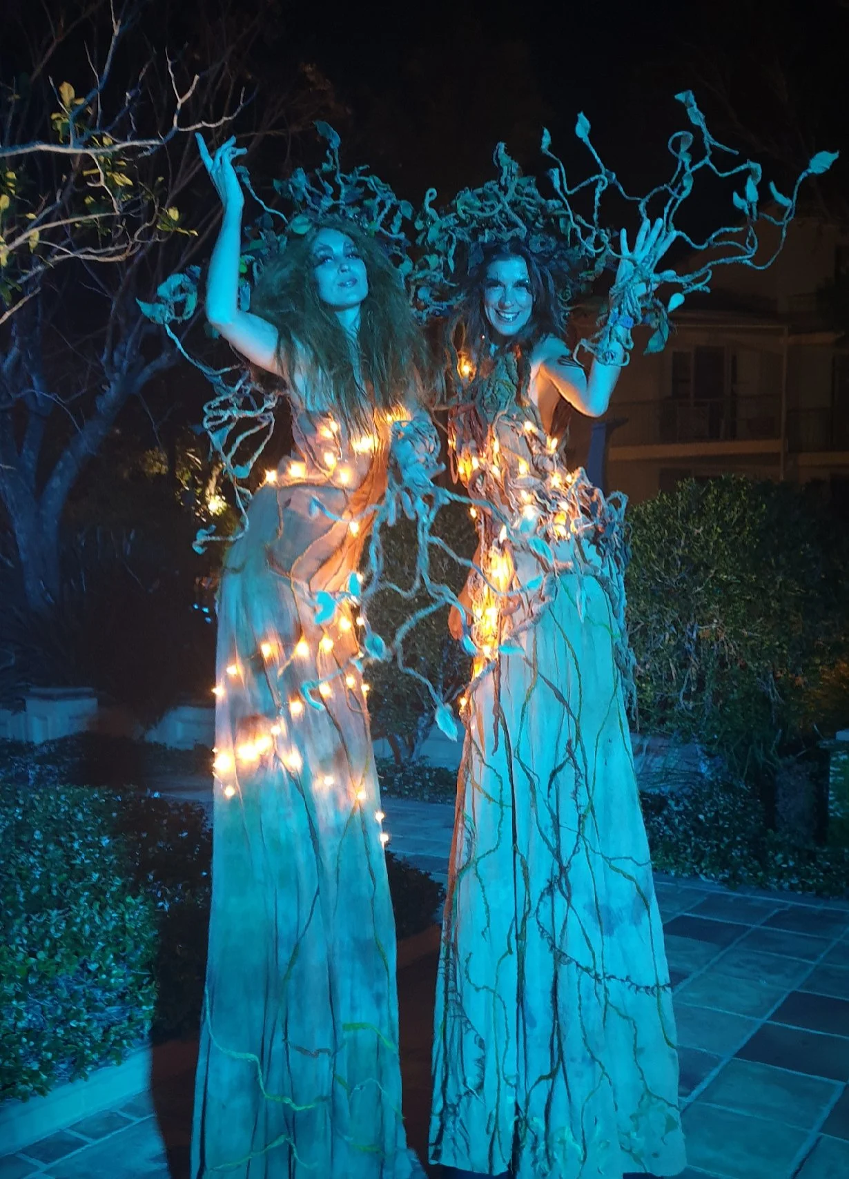 Dyrad illuminated nature tree stilts event entertainment Brisbane