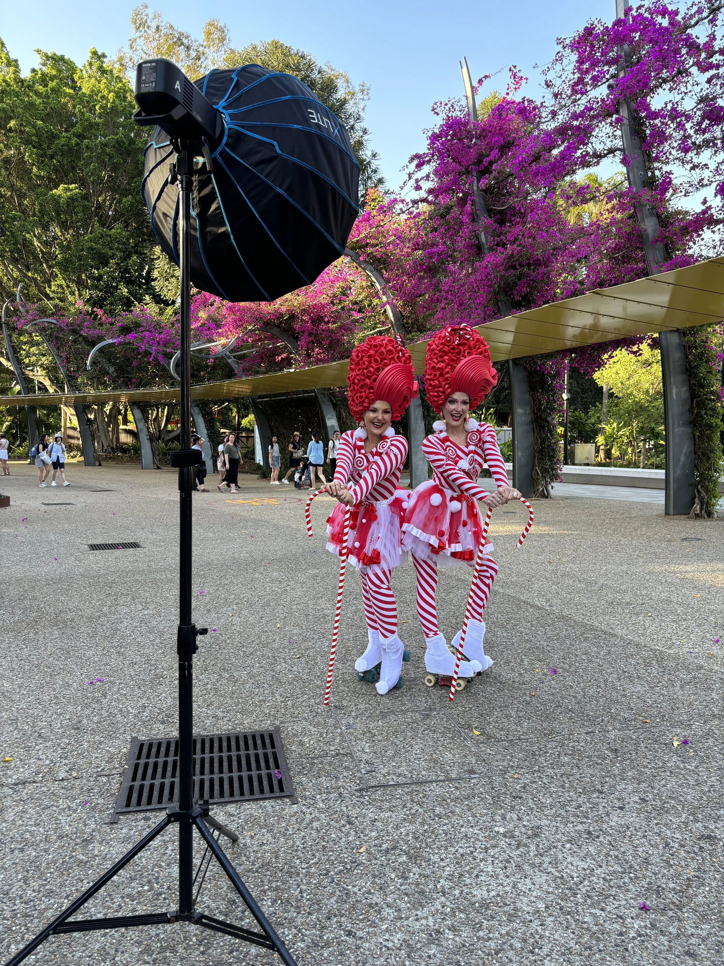 Christmas roller-skaters entertainment 