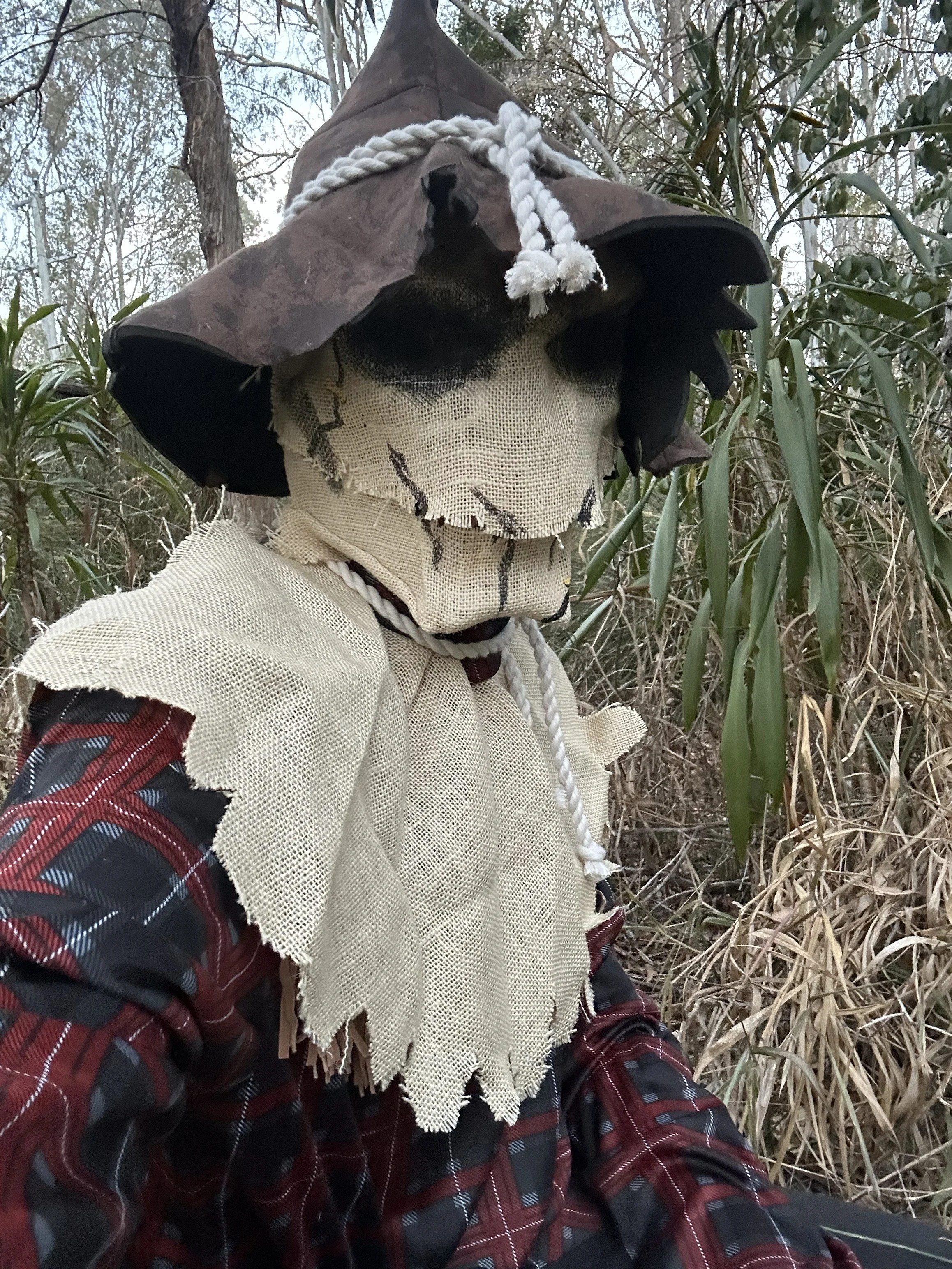 Halloween Scarer, scarecrow Brisbane