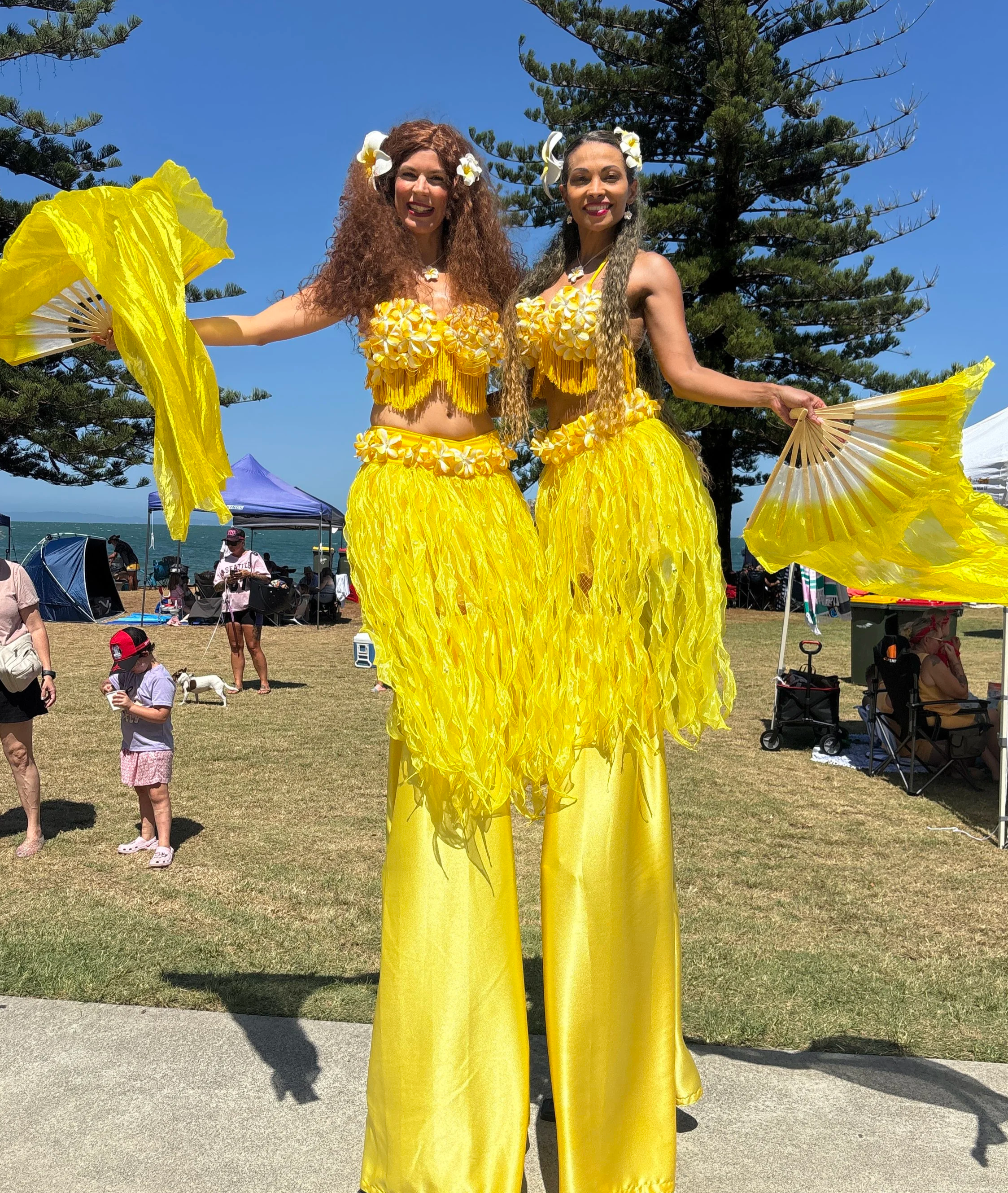 Frangipani tropical slits event entertainment Brisbane