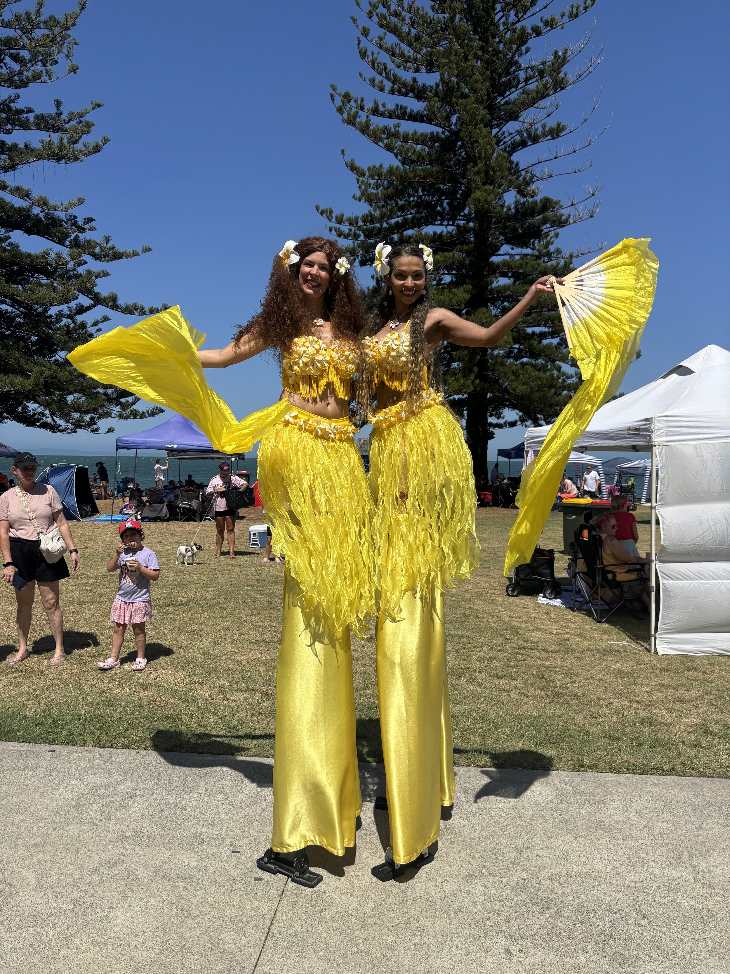 yellow happy vibrant stilt walkers Moreton bay
