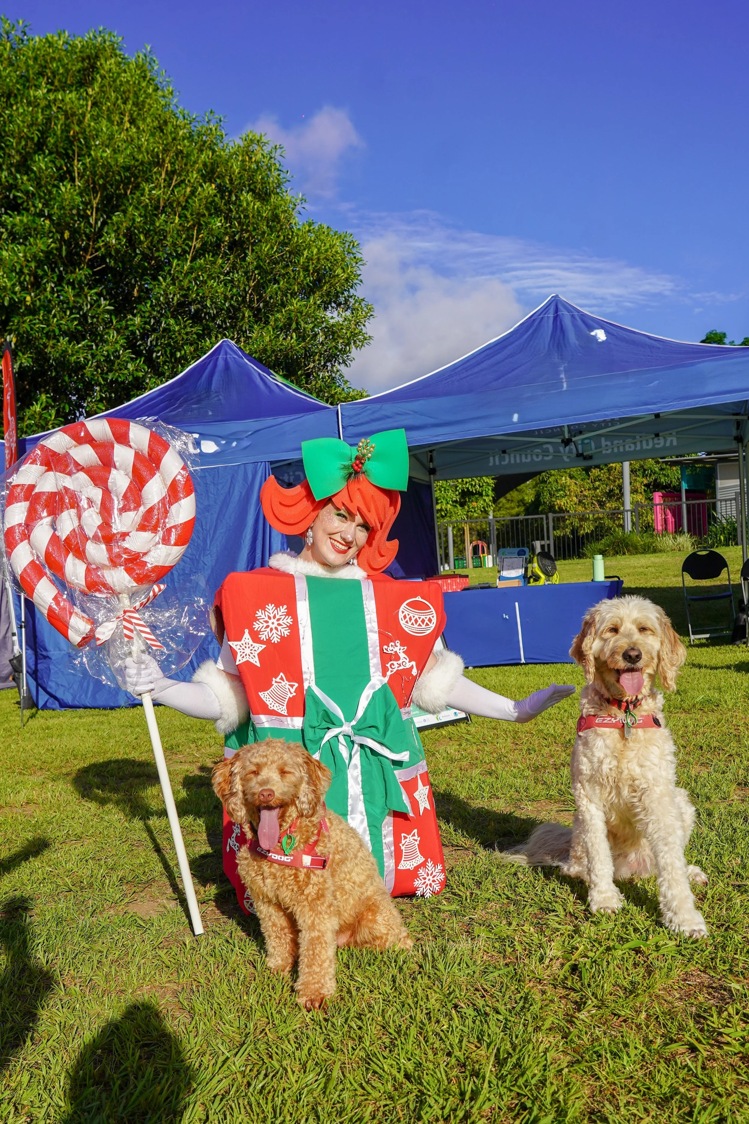 Close-up festive lights on present suit