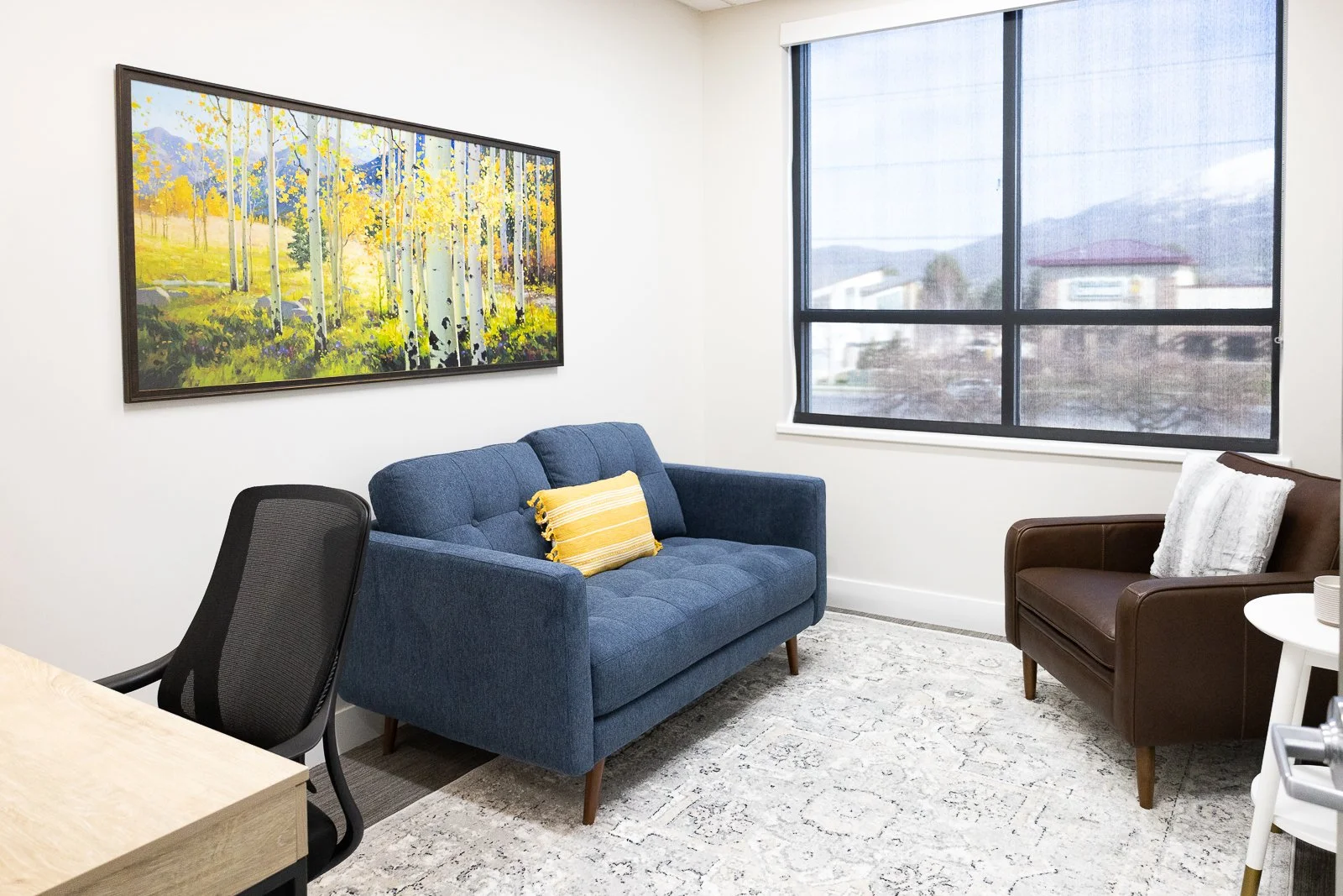 Designing A Therapy Office 5/16/24 — Tailored Interior Design
