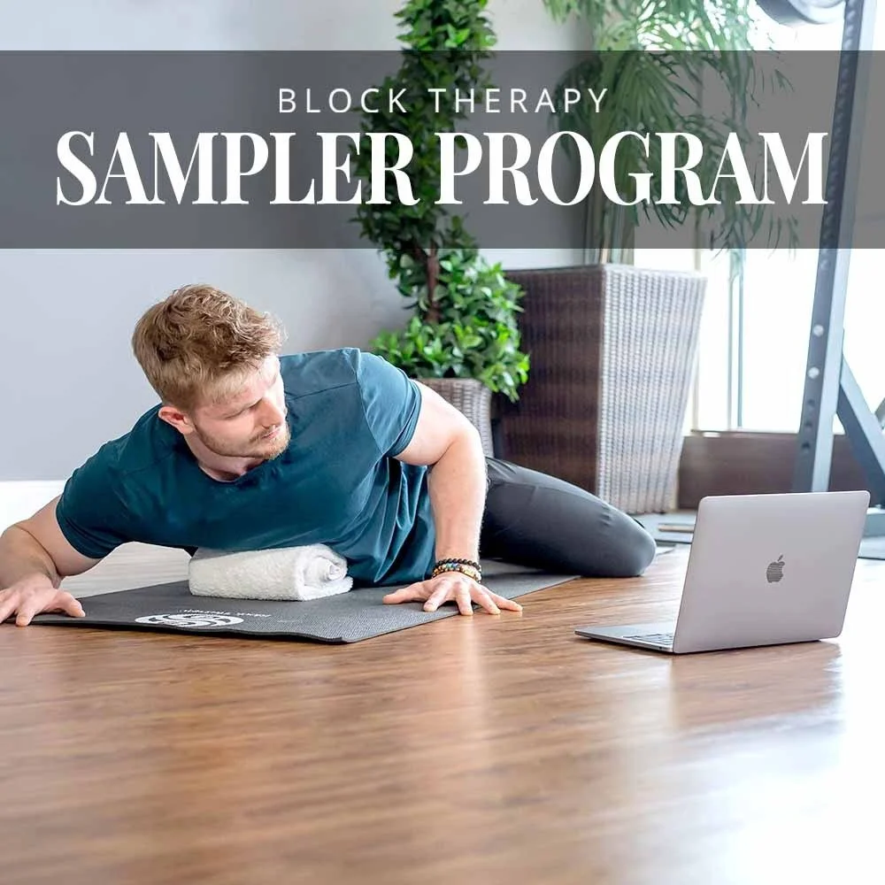 Sampler Program Graphic.jpeg