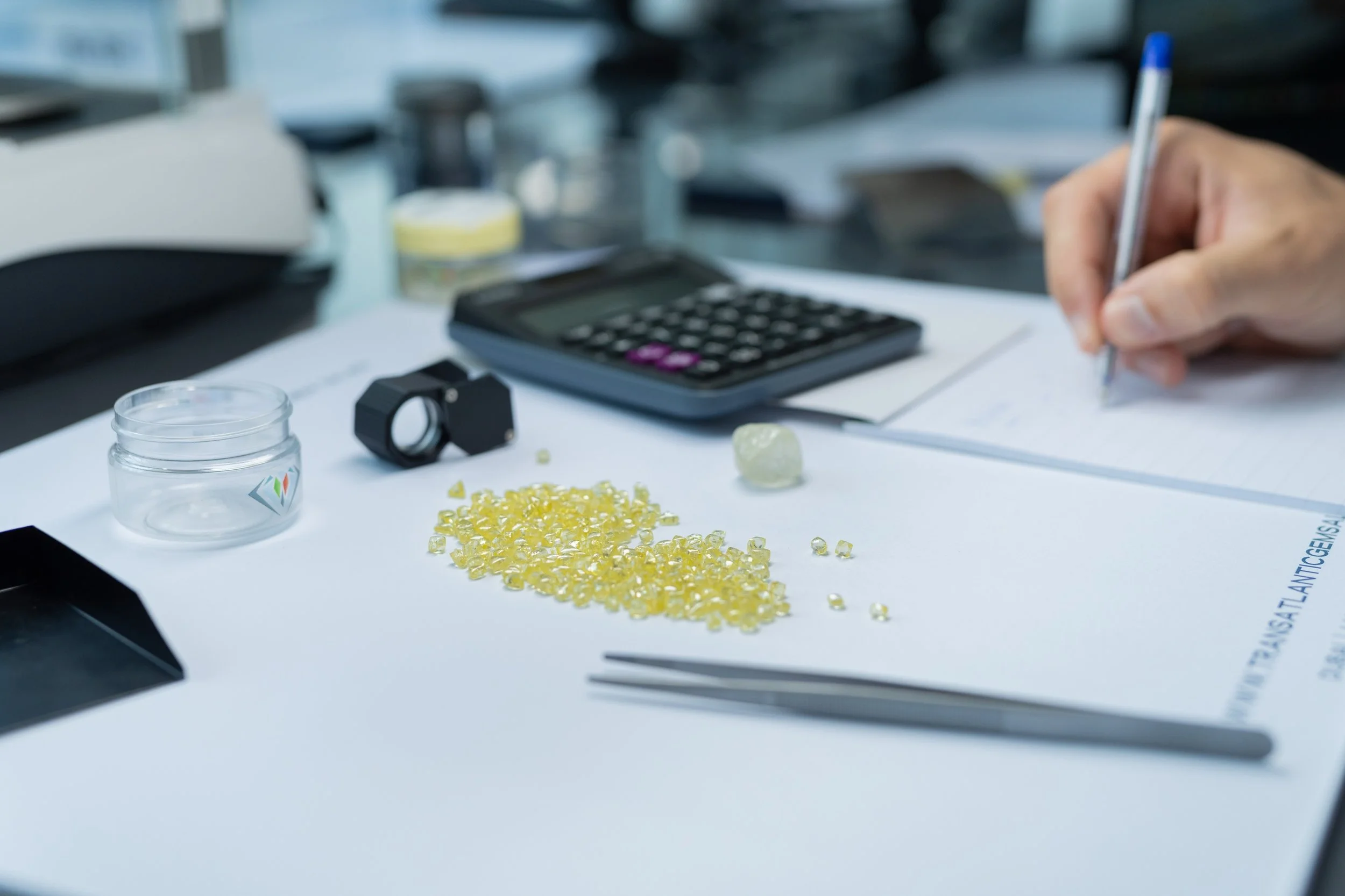 TAGS September Market &amp; Tender Report