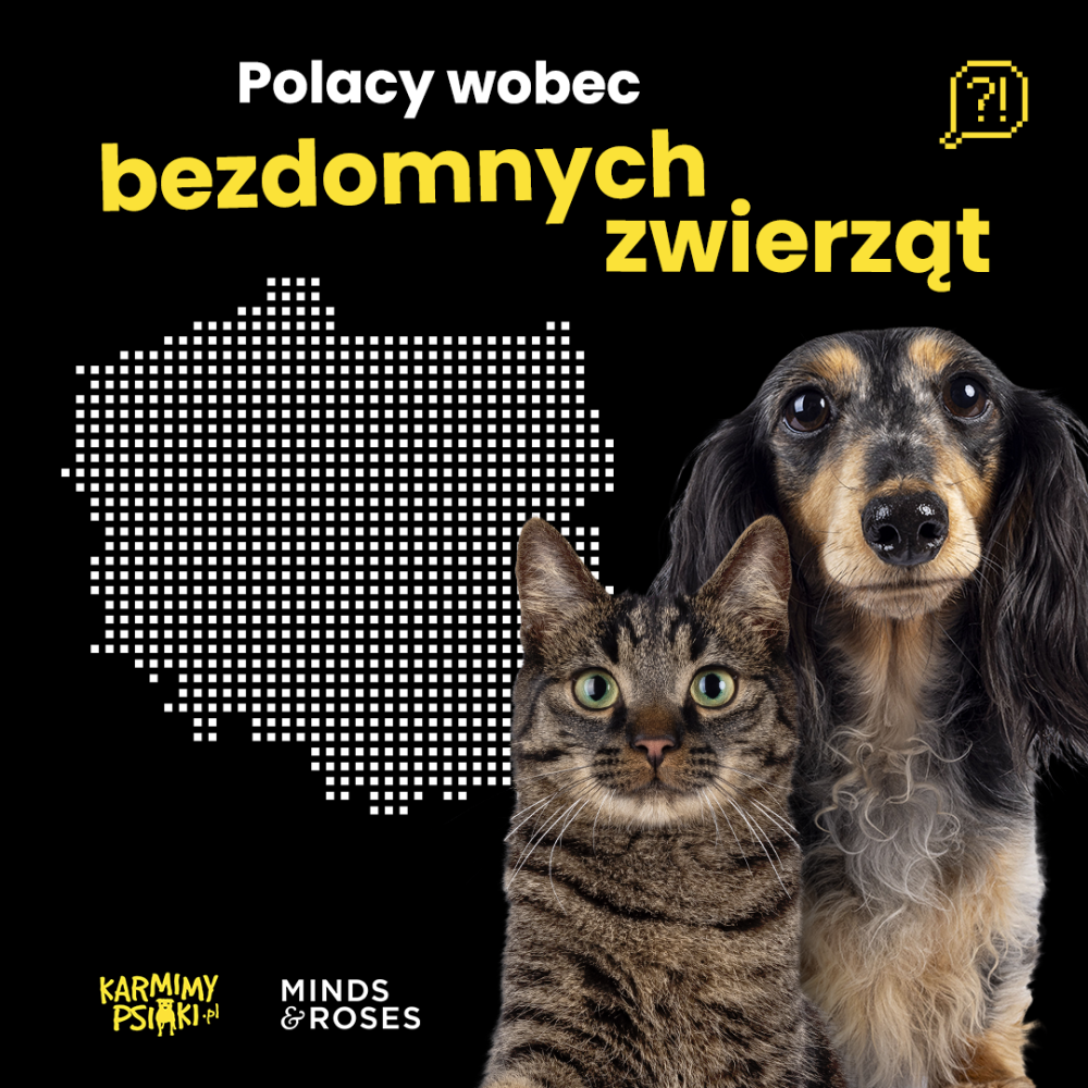 Co czwarty pies i co drugi kot w Polsce pochodzą z adopcji