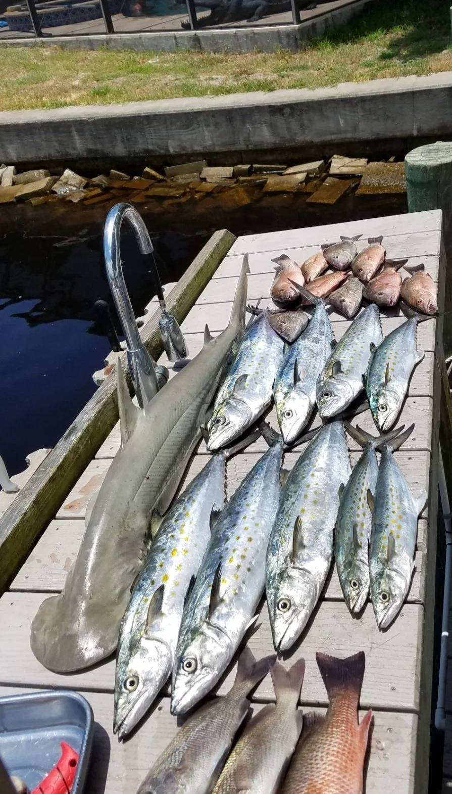 Menu — XHead Fishing Charter