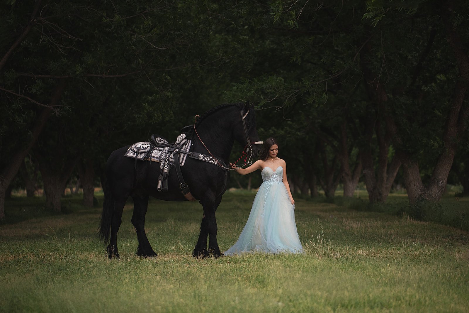 Fotografia casual de Quinceañeras