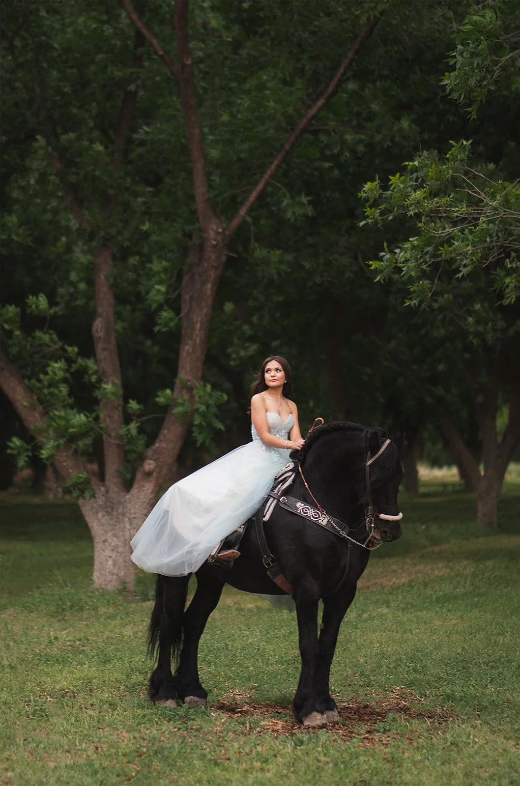 fotografia de XV en chihuahua