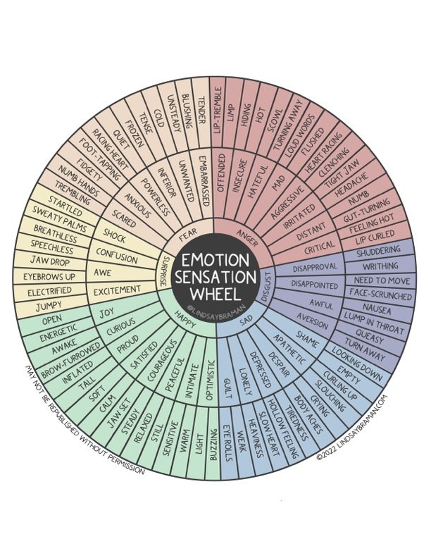 Emotion Sensation Wheel