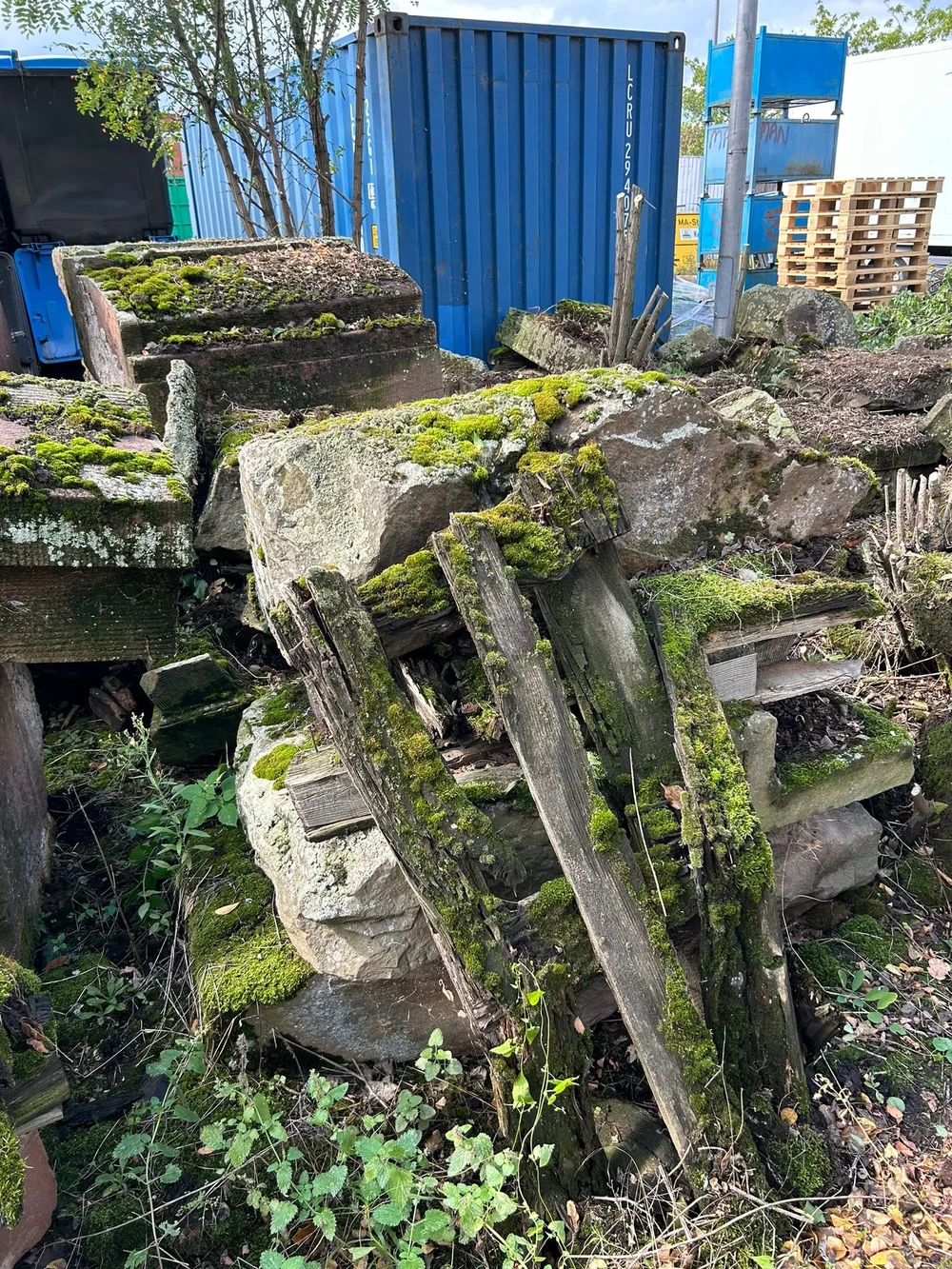 WhatsApp Image 2024-09-10 at 14.25.00.jpeg