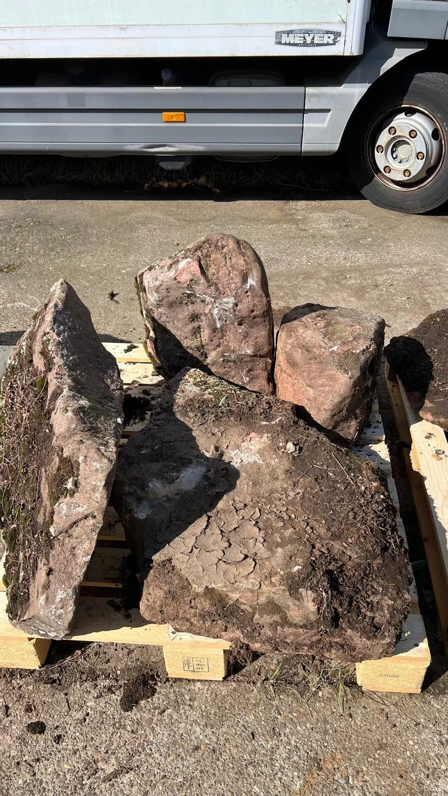 WhatsApp Image 2024-09-12 at 15.28.49.jpeg