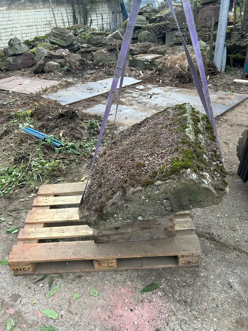 WhatsApp Image 2024-09-16 at 15.16.27 (1).jpeg