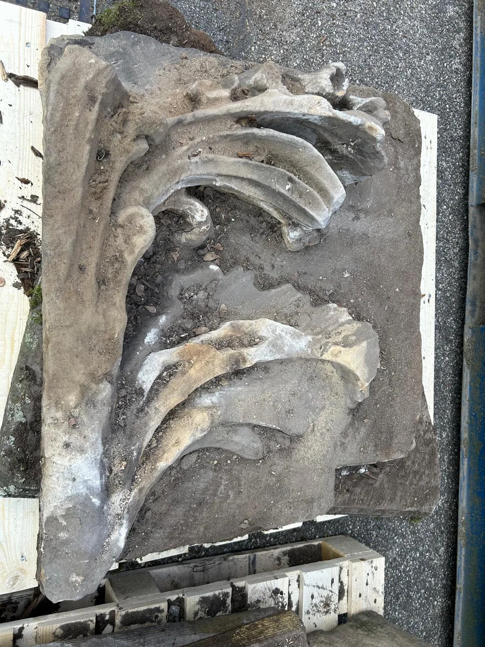 WhatsApp Image 2024-09-17 at 16.16.24.jpeg