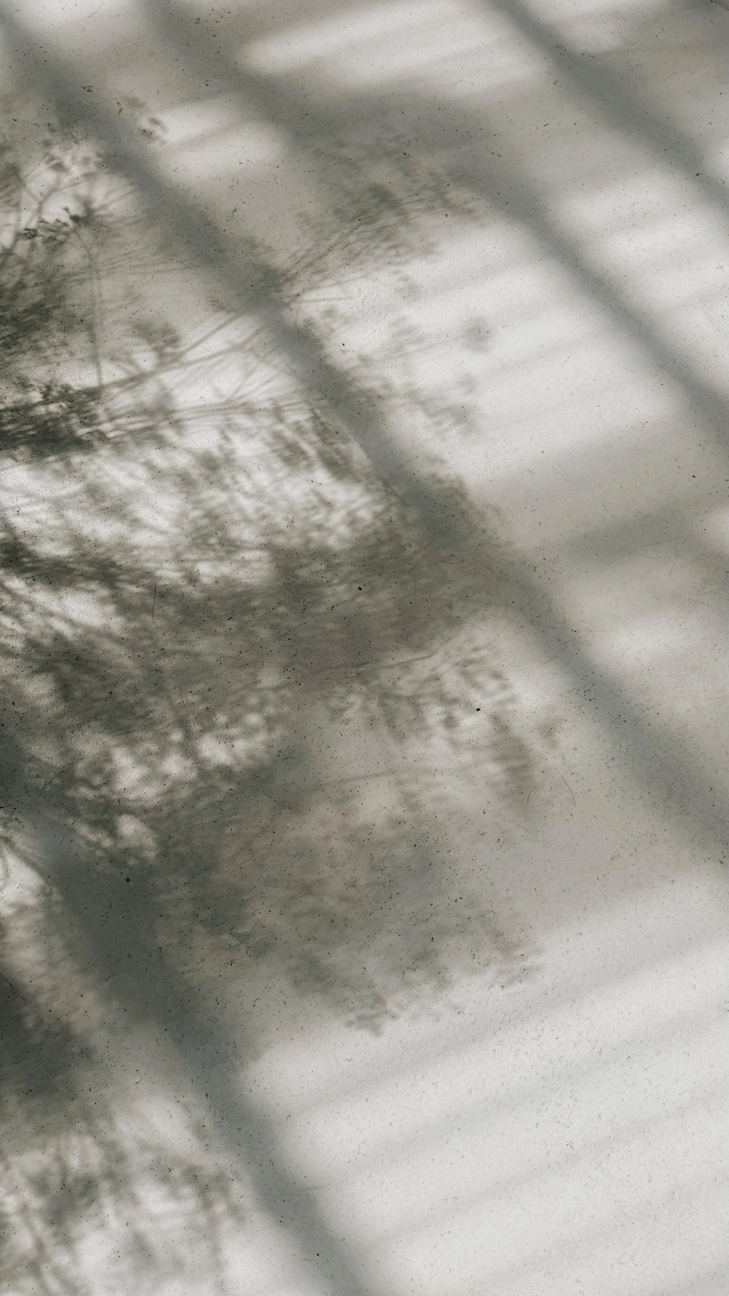 FullSizeRender_VSCO 27.JPG