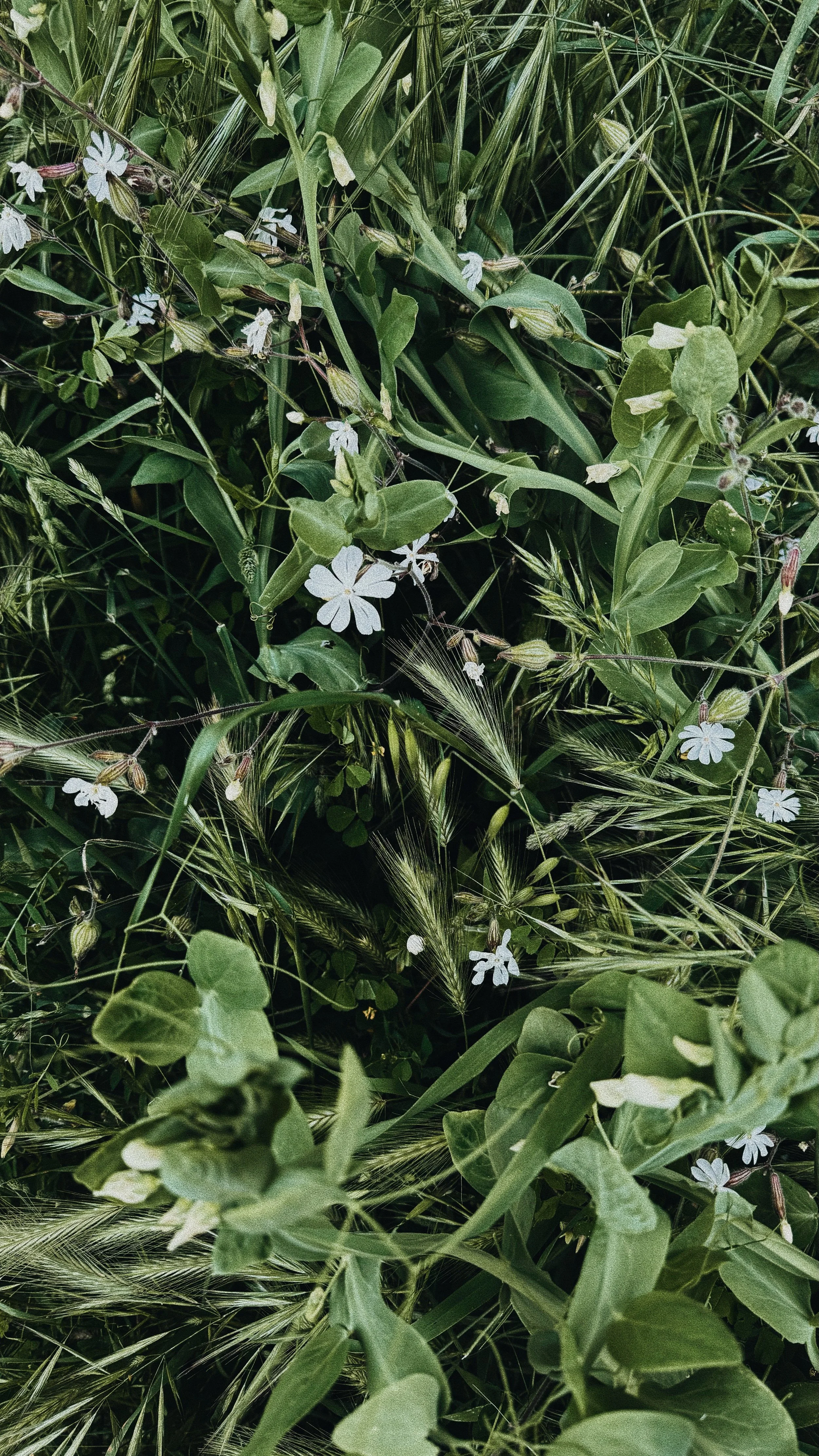 FullSizeRender_VSCO 22.JPG
