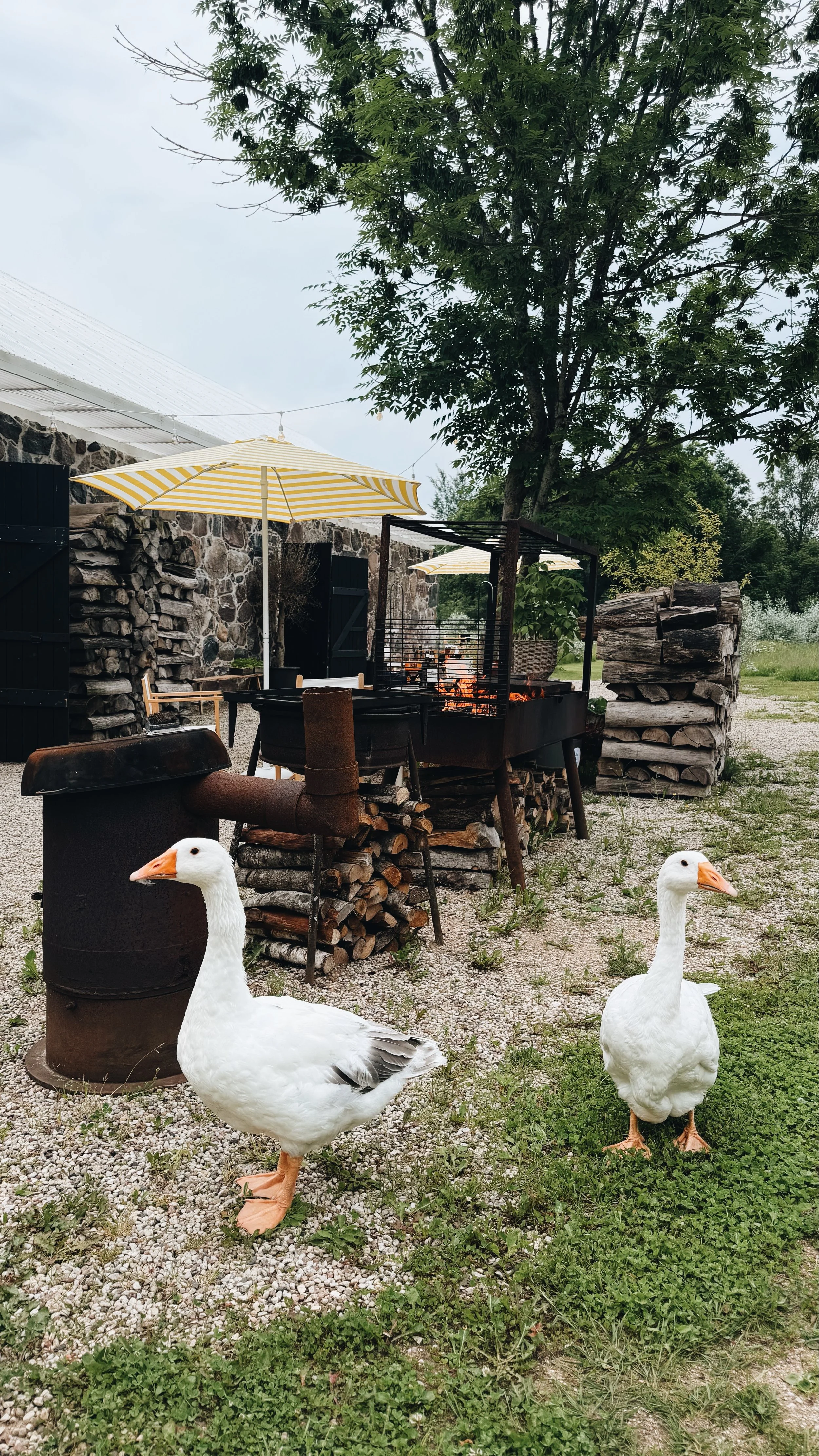 FullSizeRender_VSCO 26.JPG