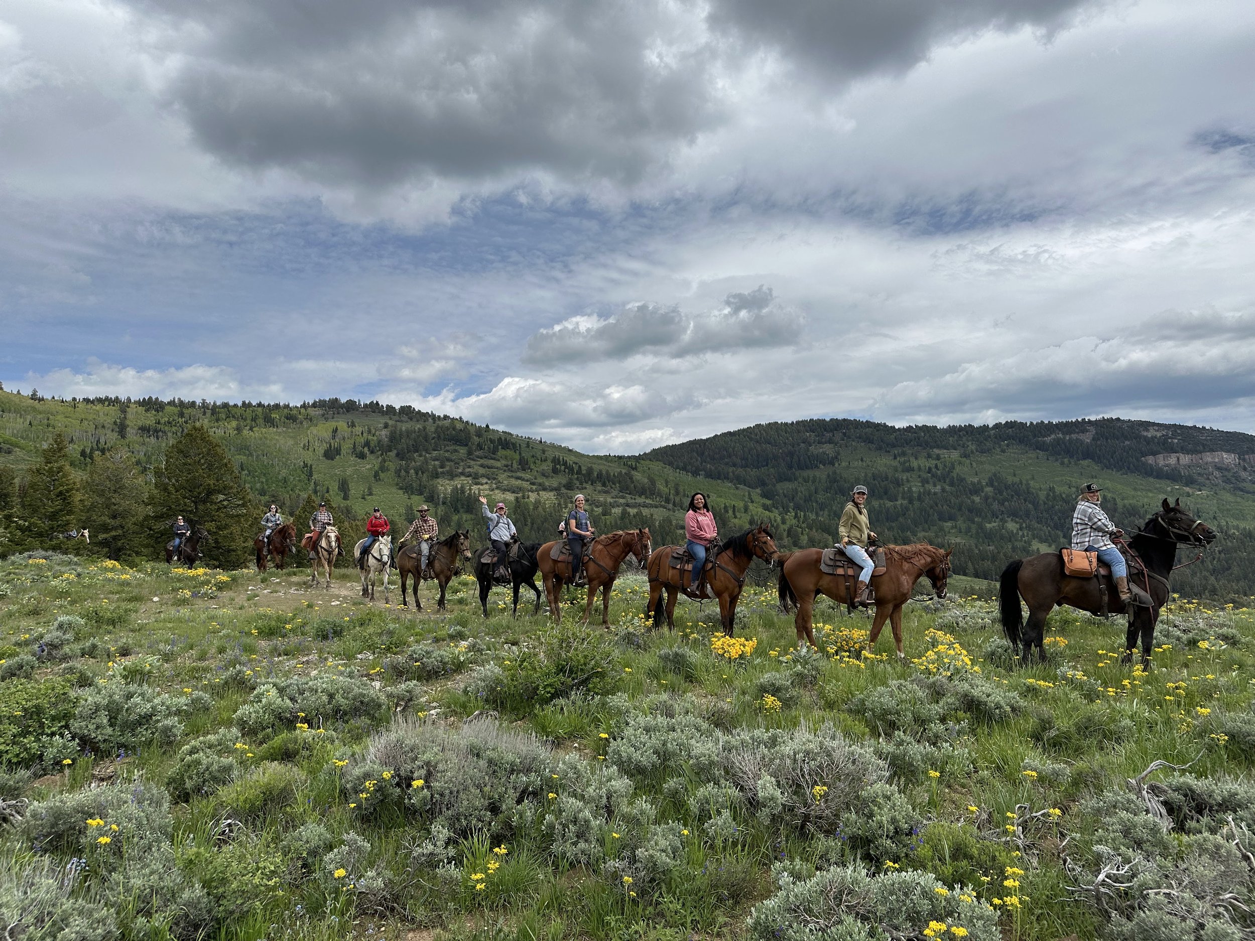 Healing with Horses: Nature Based Trauma Recovery
