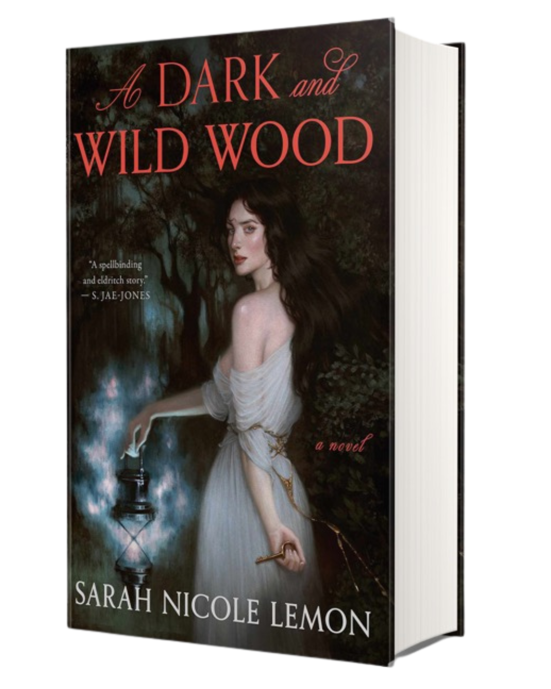 Cover of a novel titled "A Dark and Wild Wood" by Sarah Nicole Lemon, featuring an illustrated woman with long dark hair in a forest, holding a lantern in one hand and a key in the other.